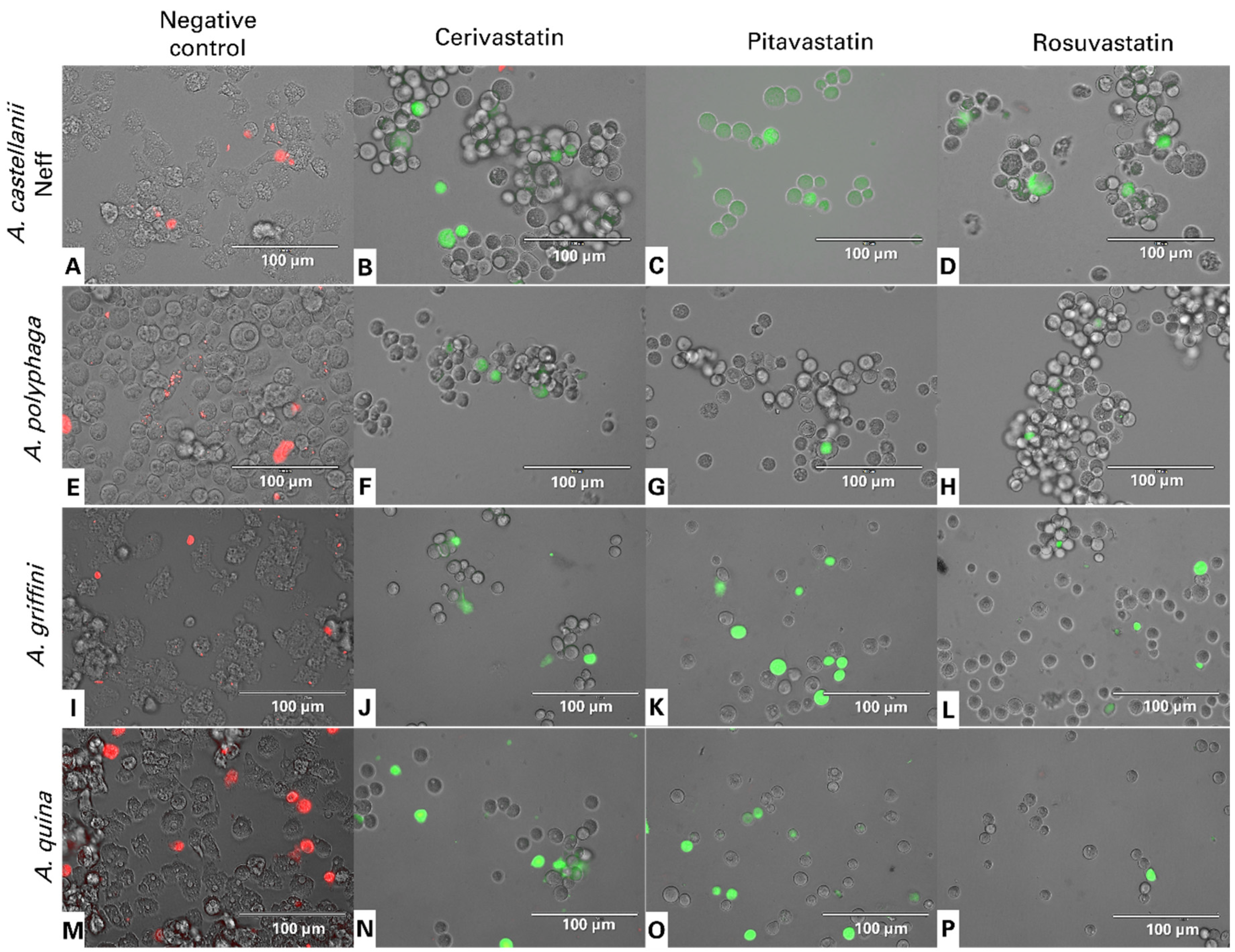 Antibiotics 11 00280 g004