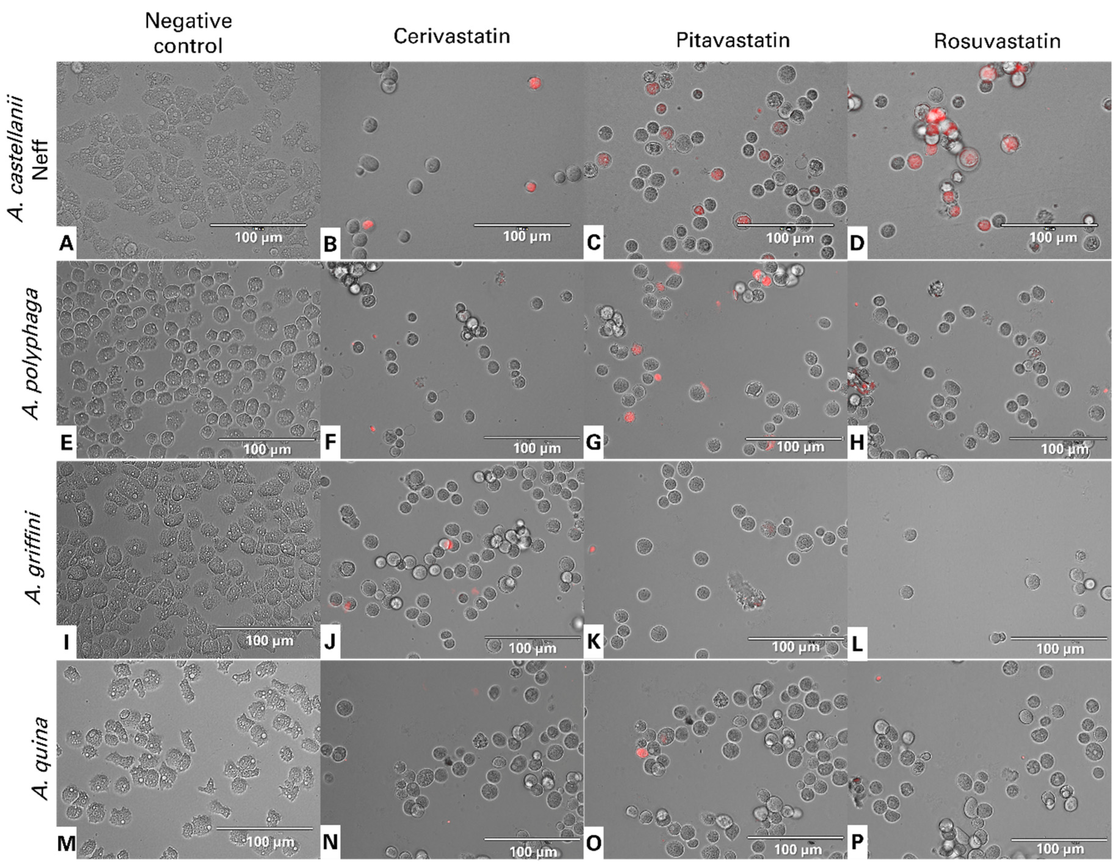 Antibiotics 11 00280 g005