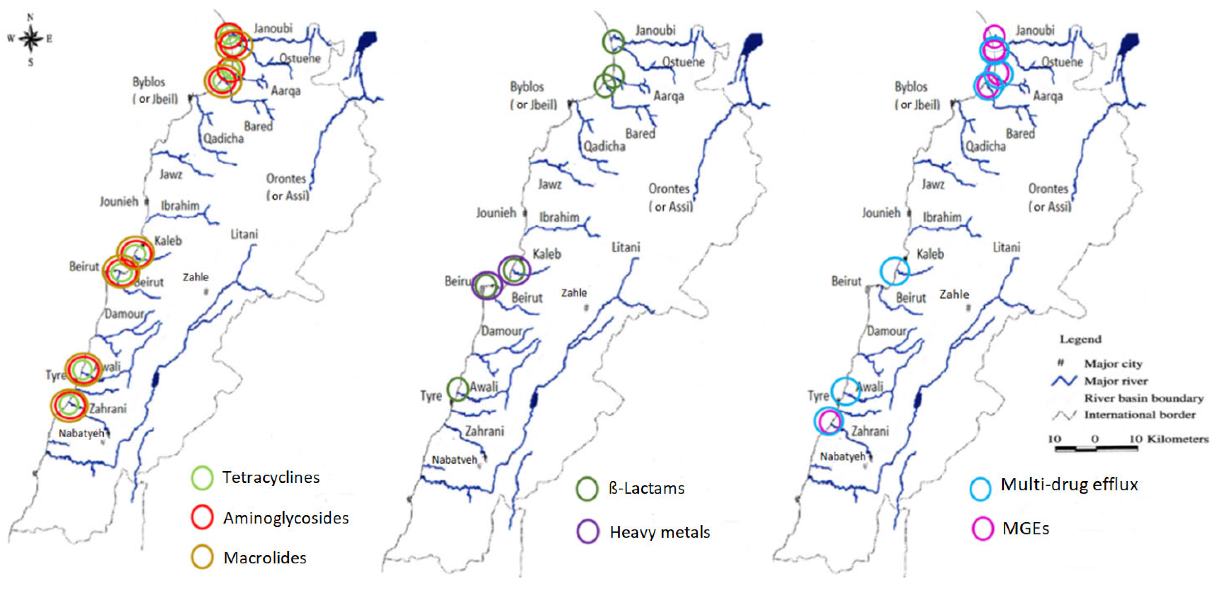 Antibiotics 11 00306 g003
