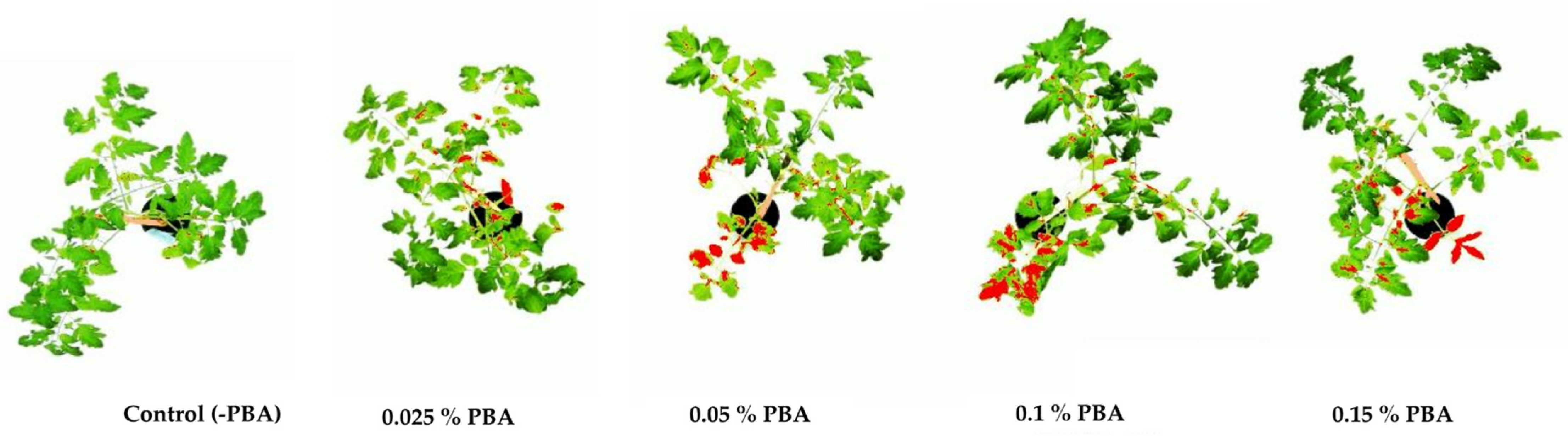 Antibiotics 11 00320 g002