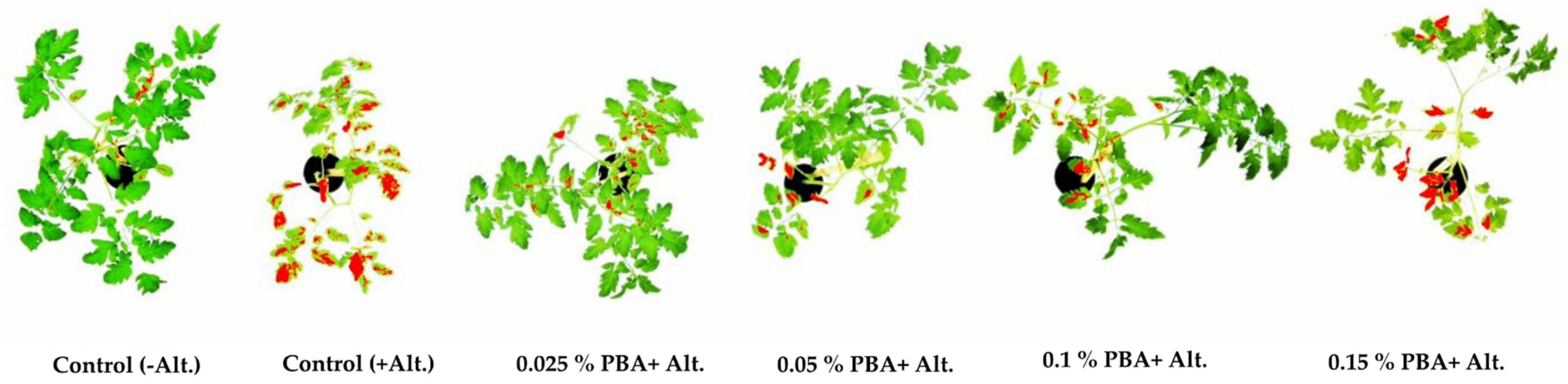 Antibiotics 11 00320 g004