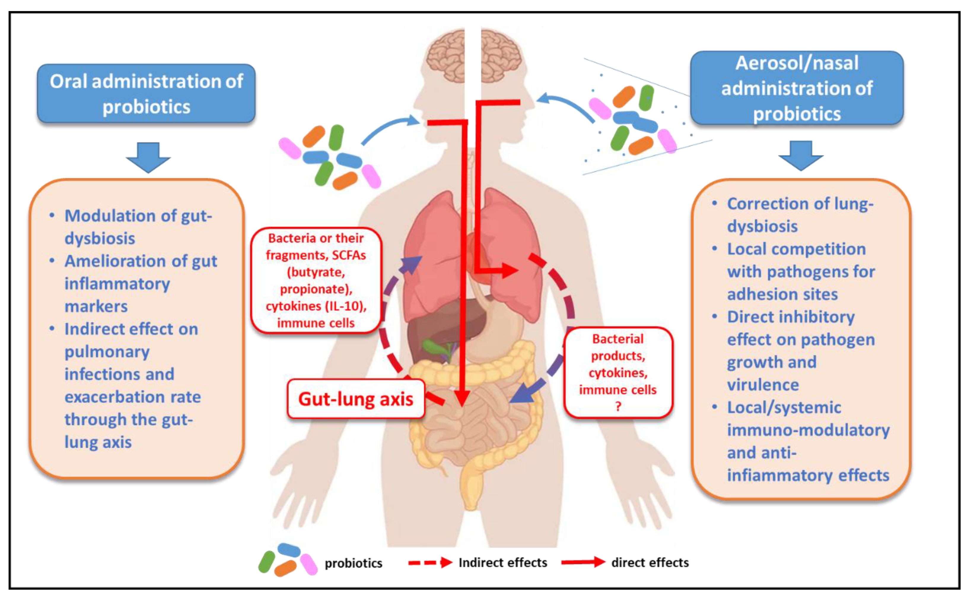 Antibiotics 11 00326 g002