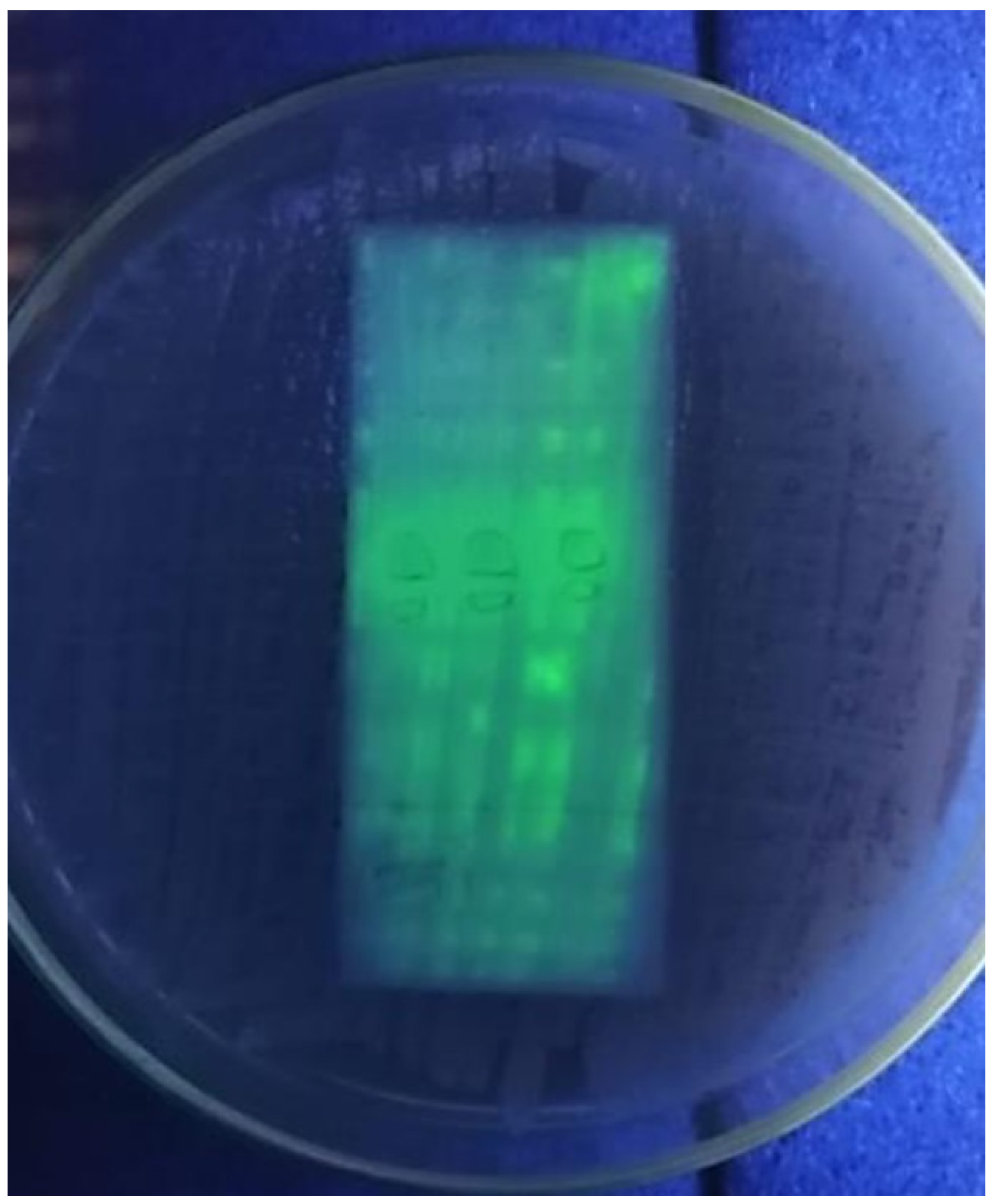 Antibiotics 11 00327 g0a3 Antibiotics 11 00327 g0a3