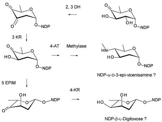 Antibiotics 11 00334 g031