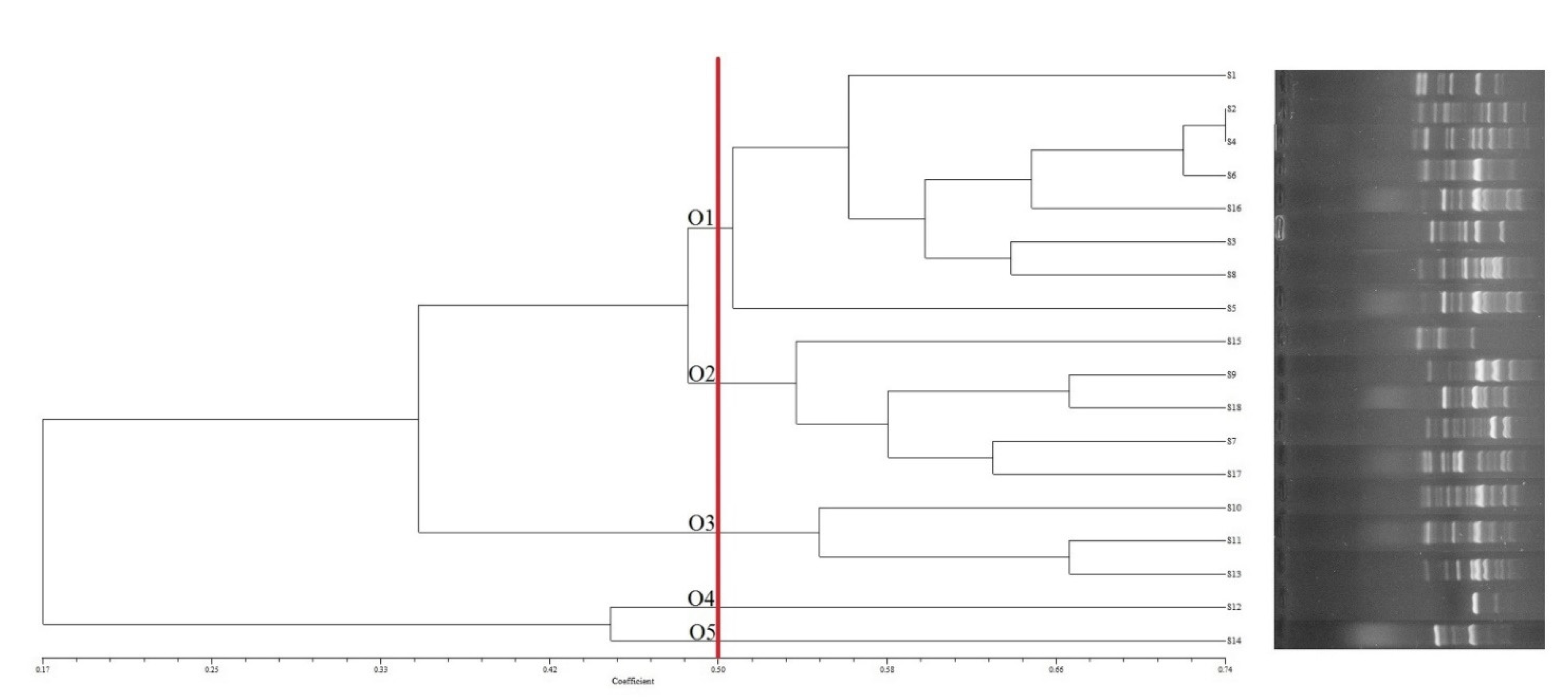 Antibiotics 11 00340 g002
