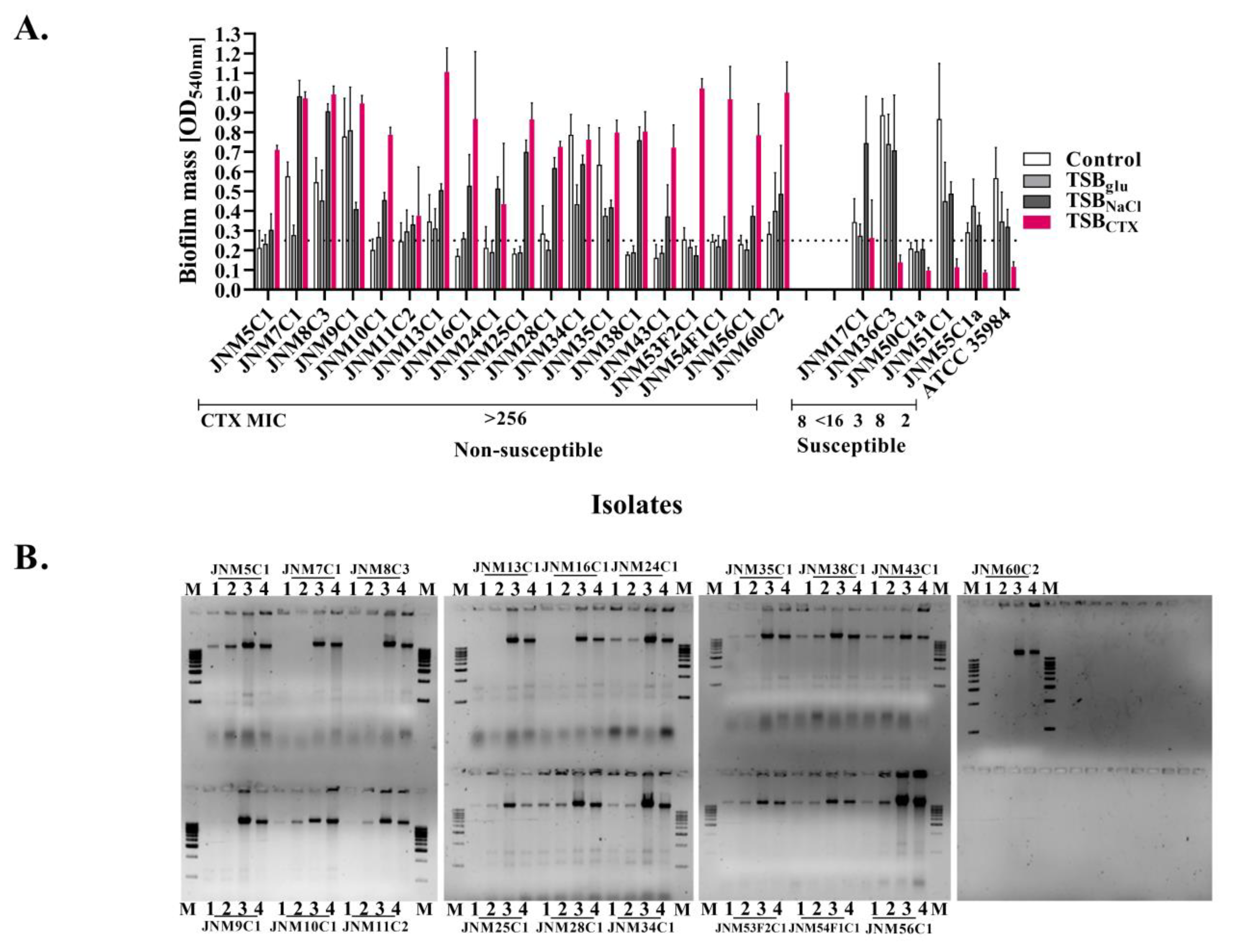Antibiotics 11 00360 g002