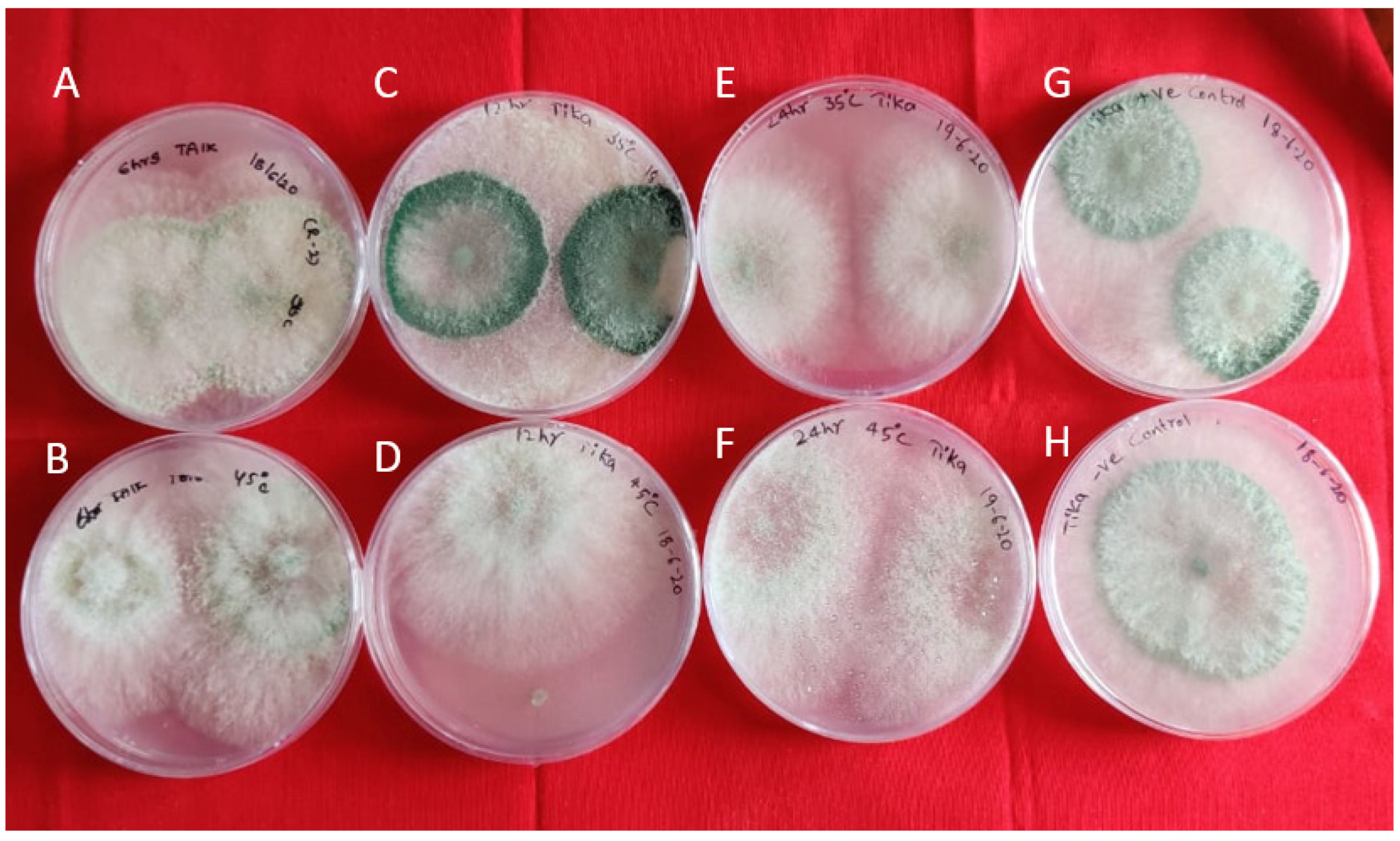 Antibiotics 11 00363 g002