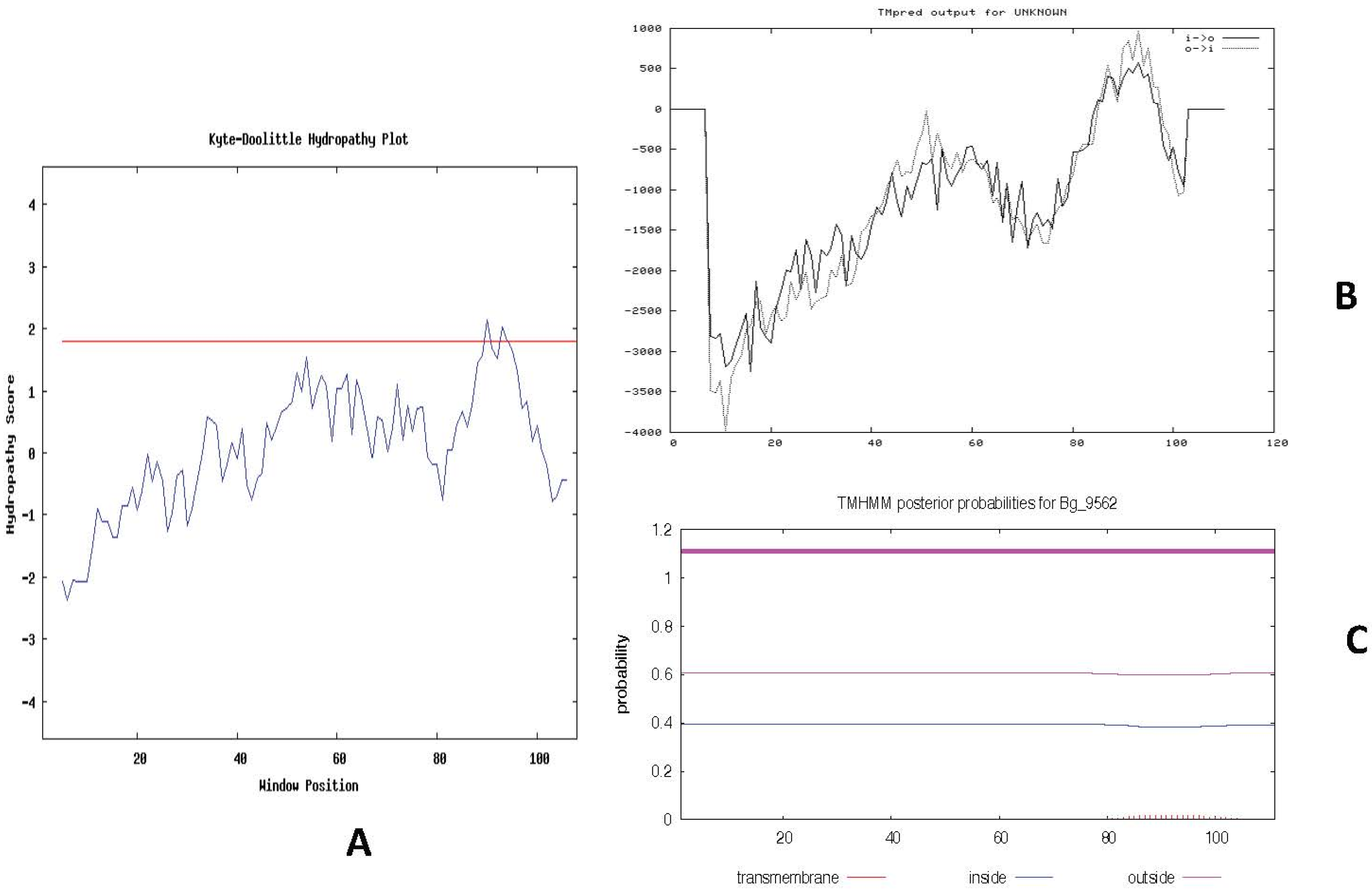 Antibiotics 11 00363 g004