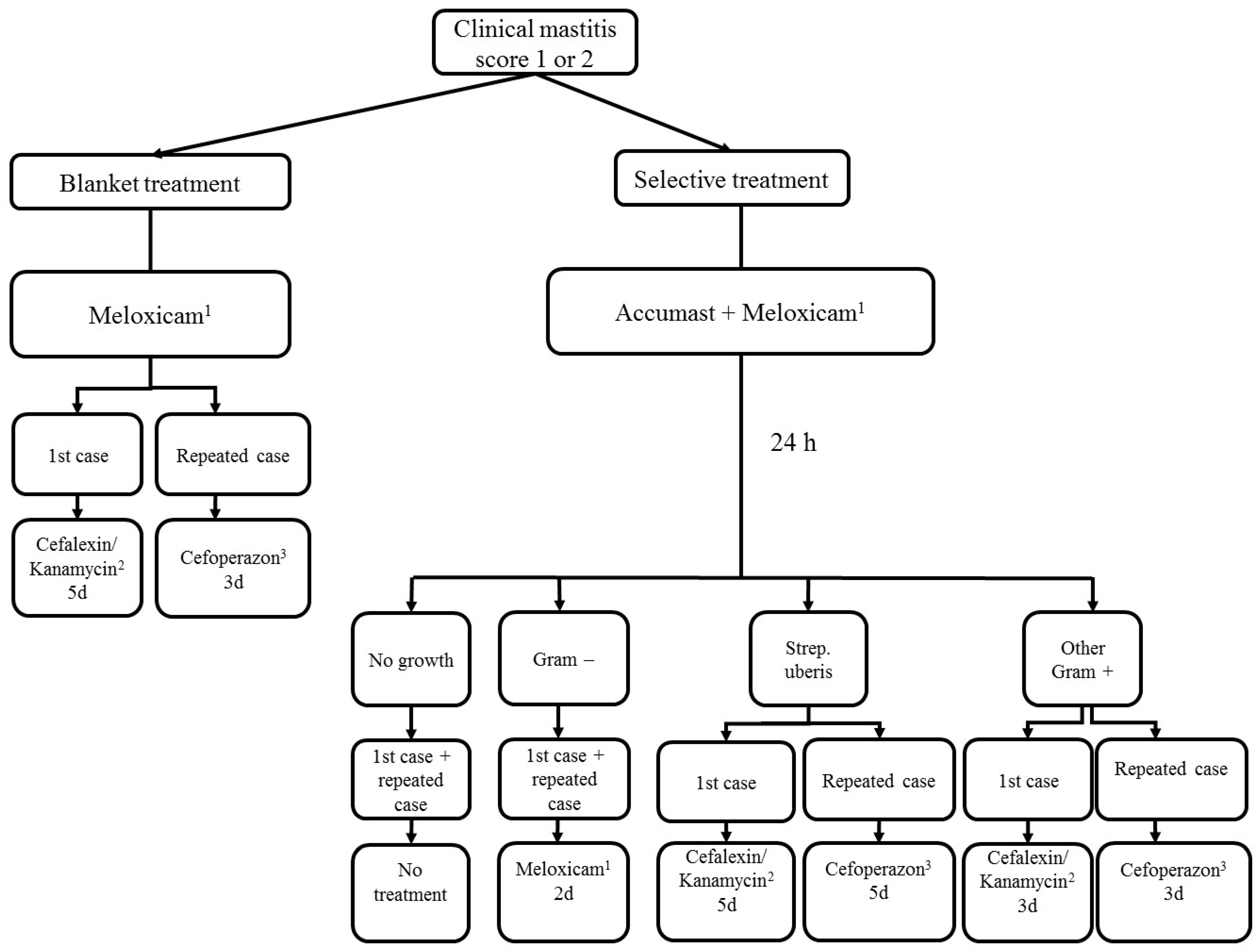 Antibiotics 11 00368 g001