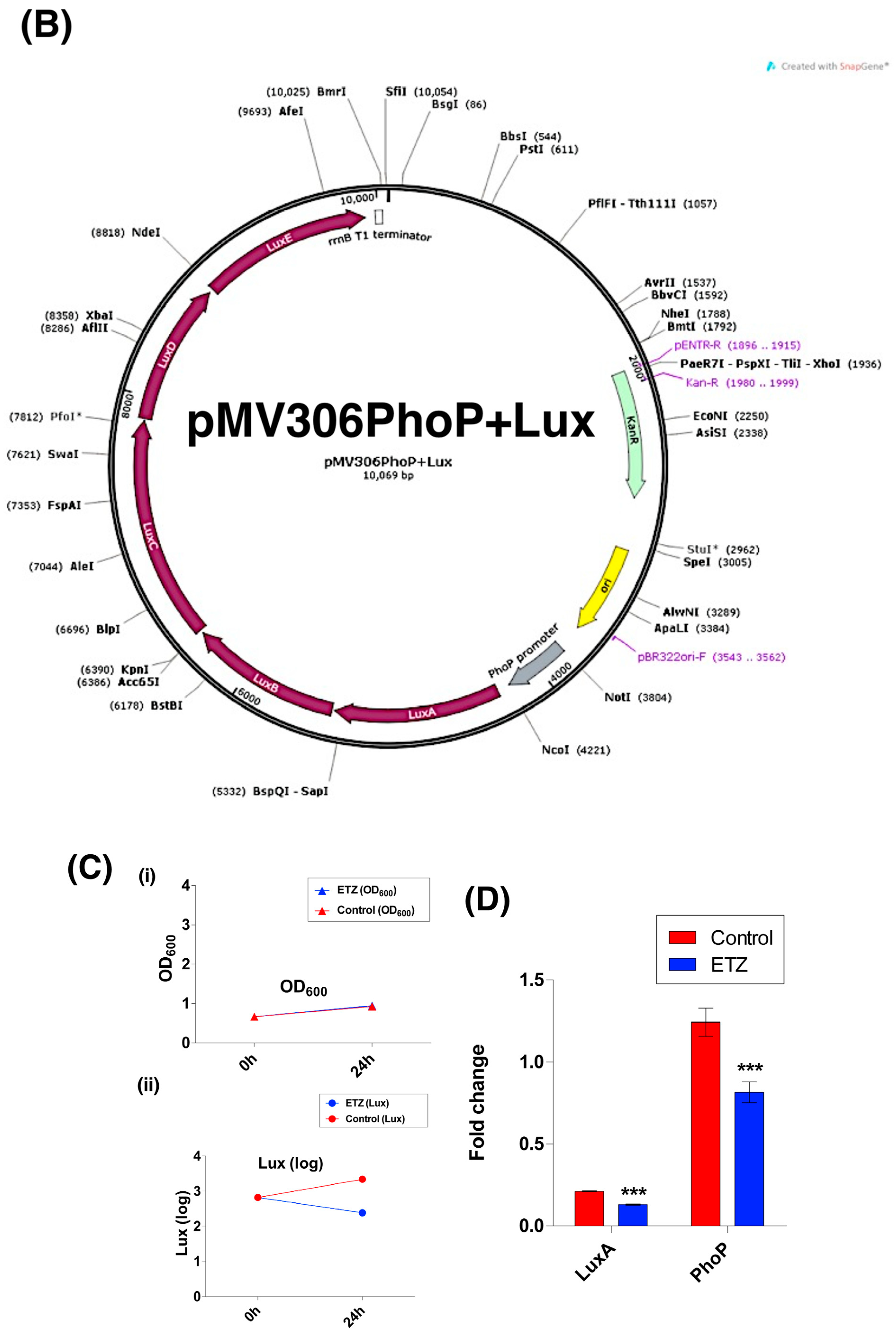 Antibiotics 11 00369 g001b