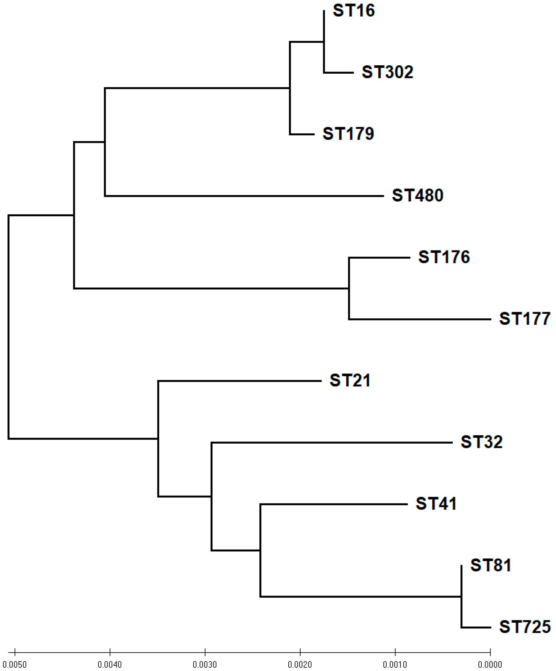 Antibiotics 11 00380 g005