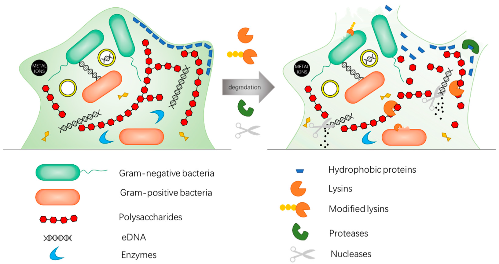 Antibiotics 11 00390 g003