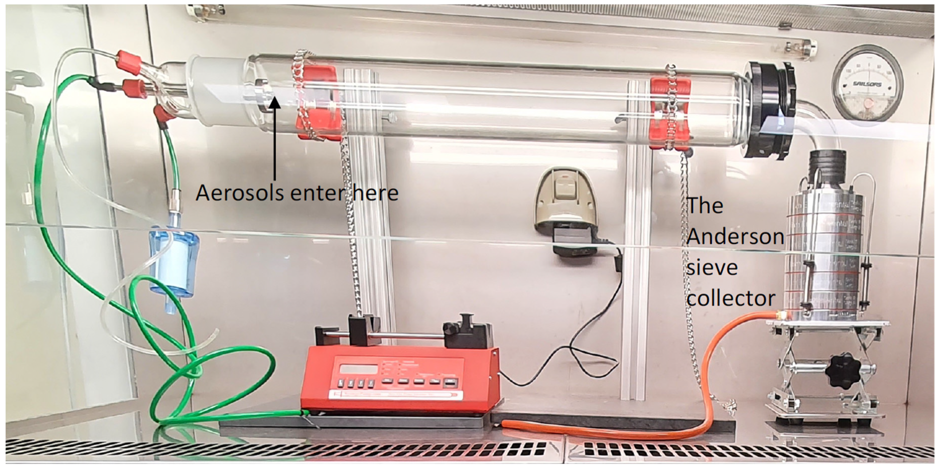 Antibiotics 11 00393 g005