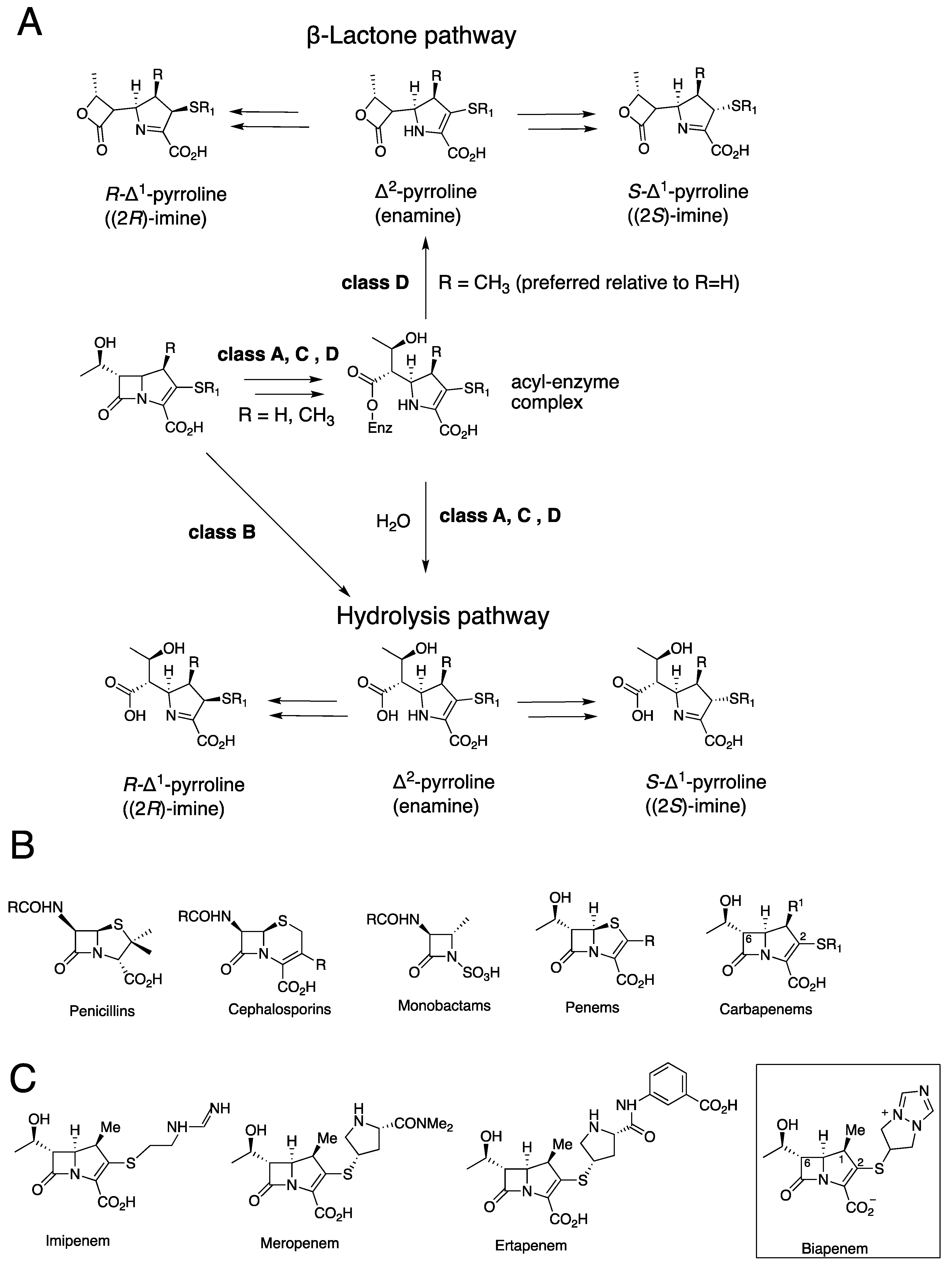 Antibiotics 11 00396 g001
