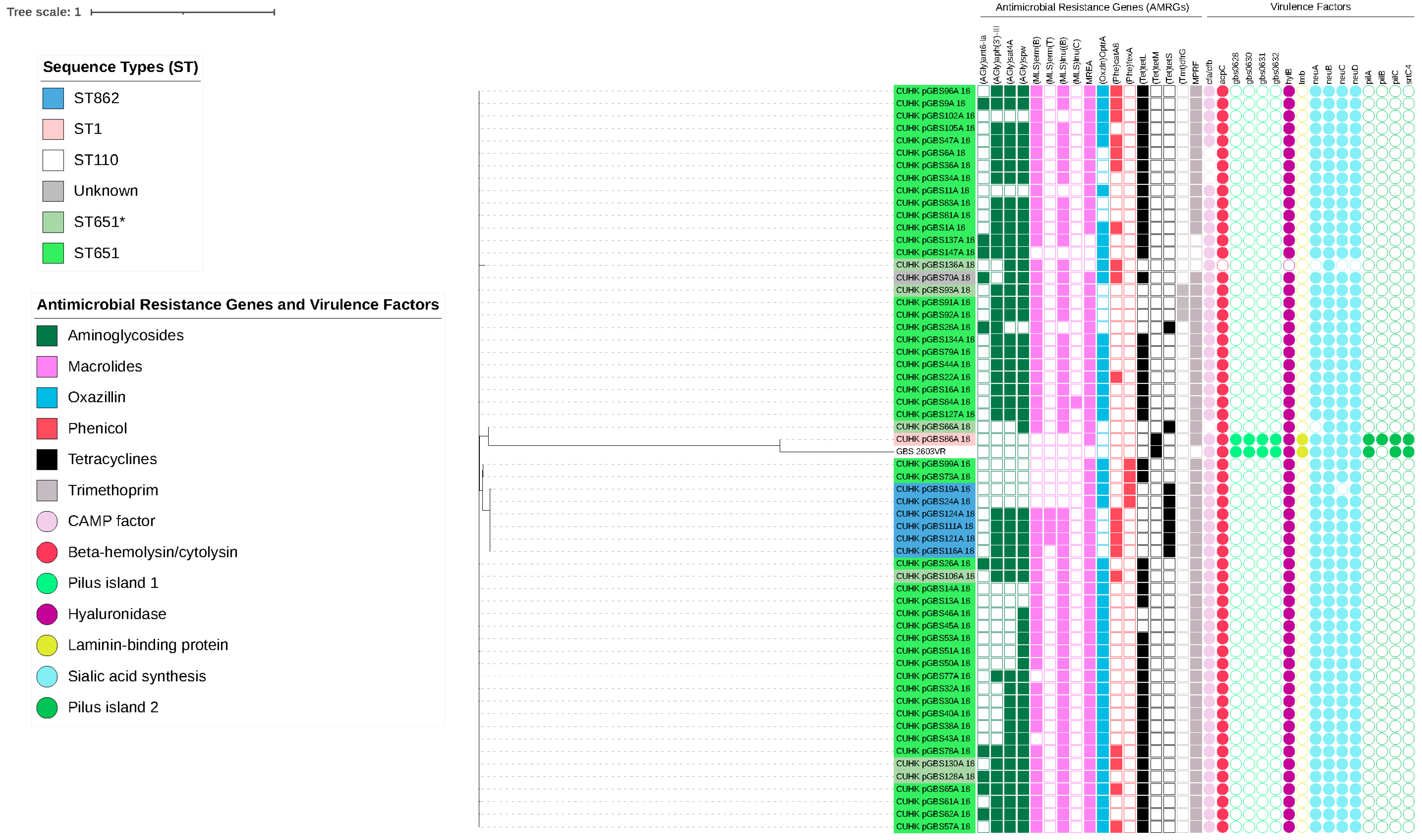 Antibiotics 11 00397 g003