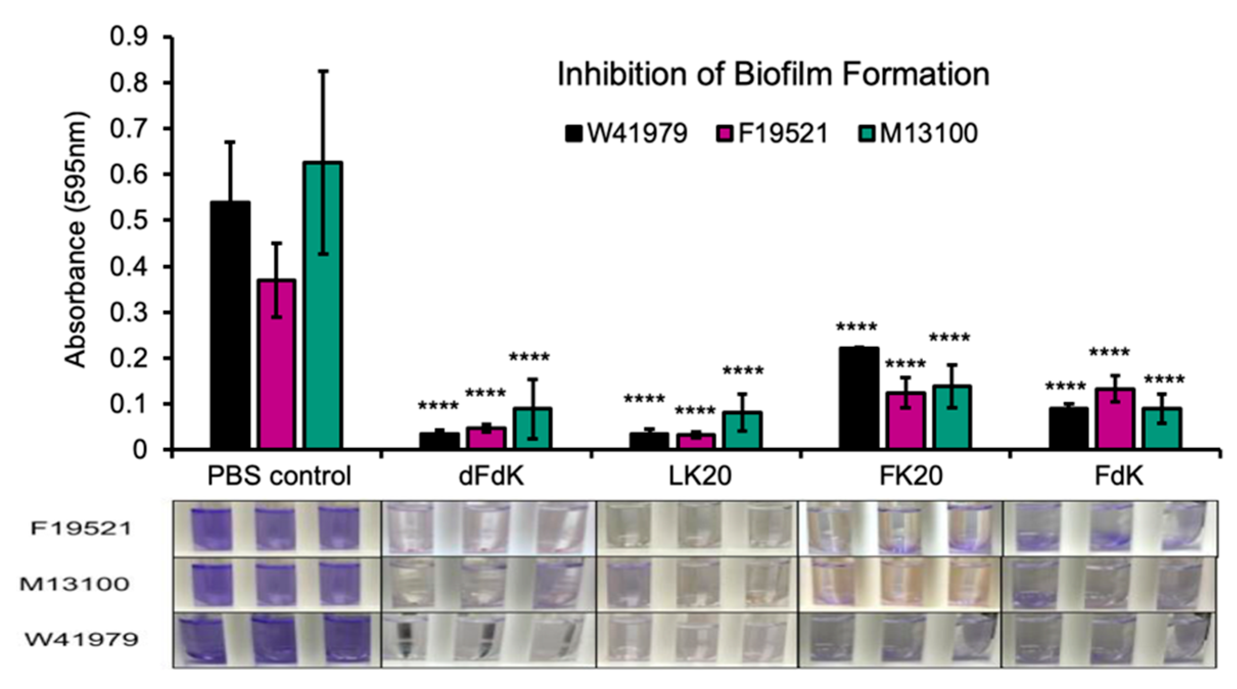 Antibiotics 11 00413 g004