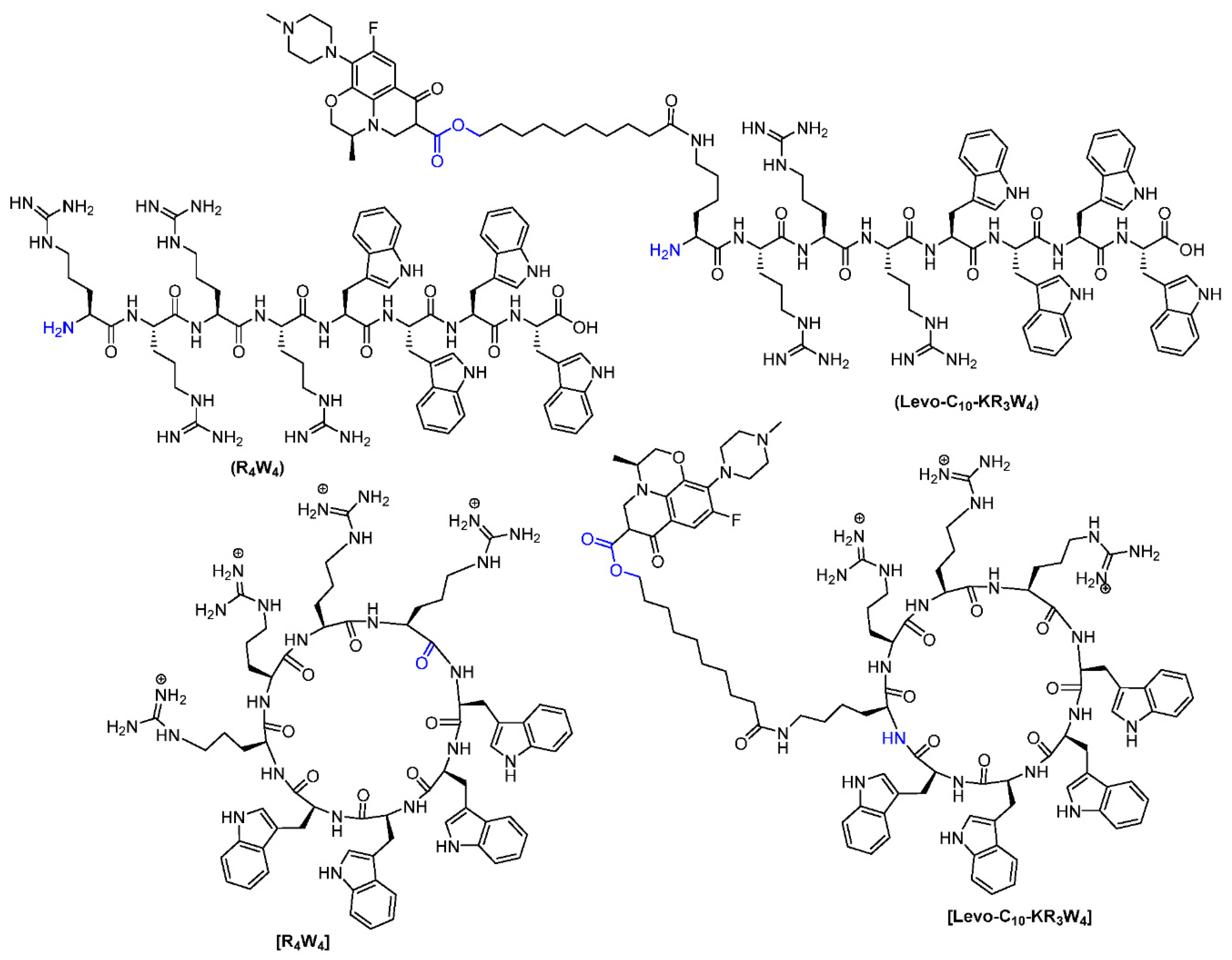Antibiotics 11 00416 g001