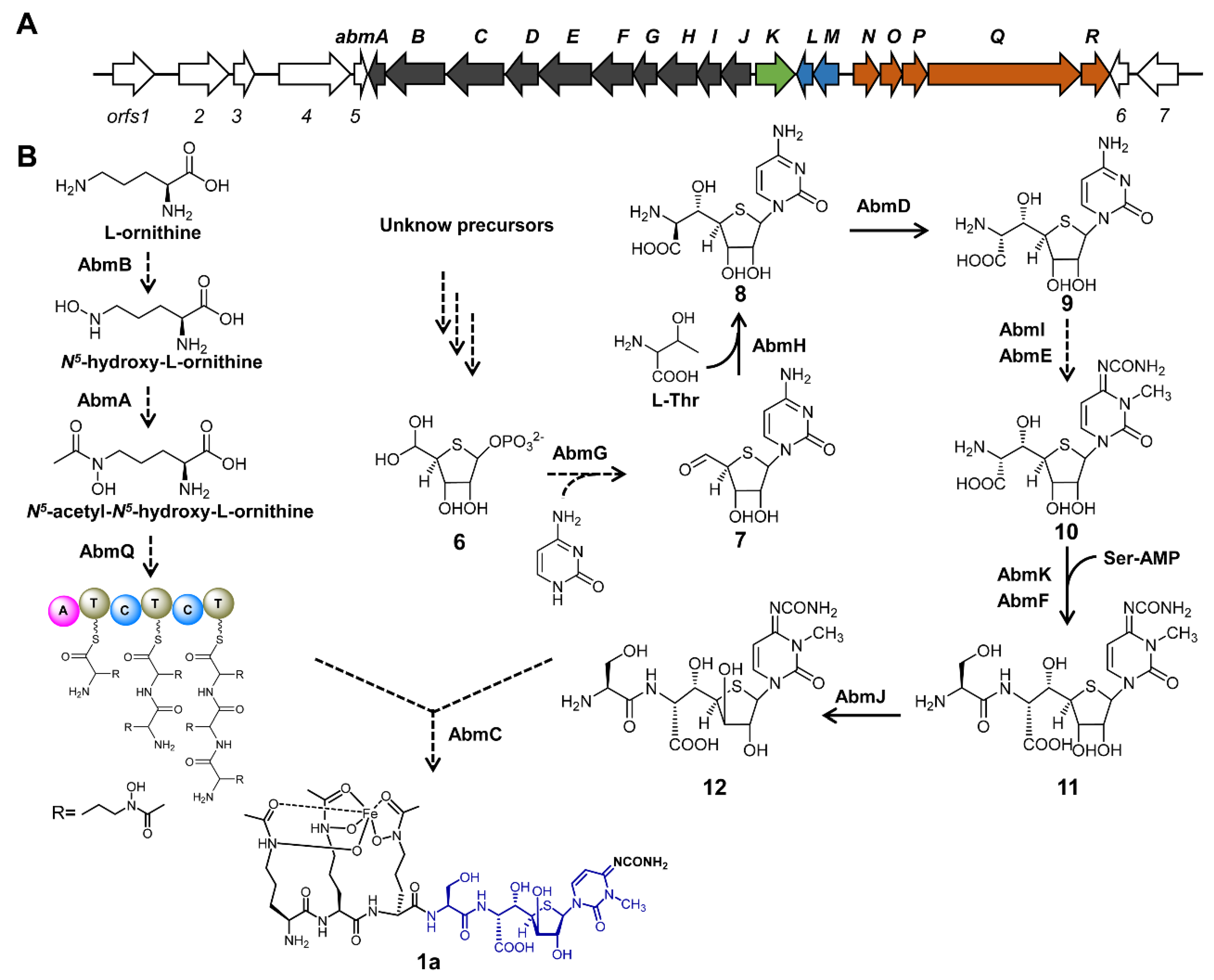 Antibiotics 11 00438 g002