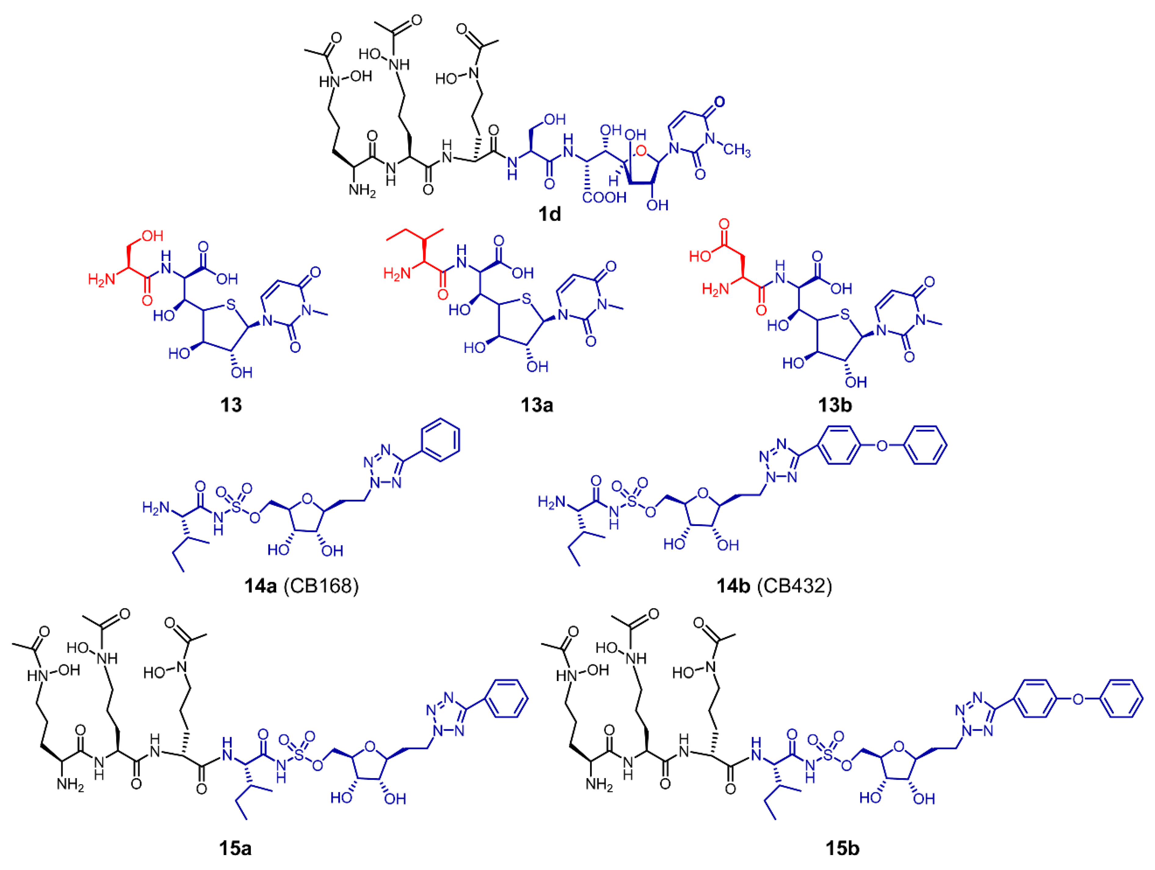 Antibiotics 11 00438 g003