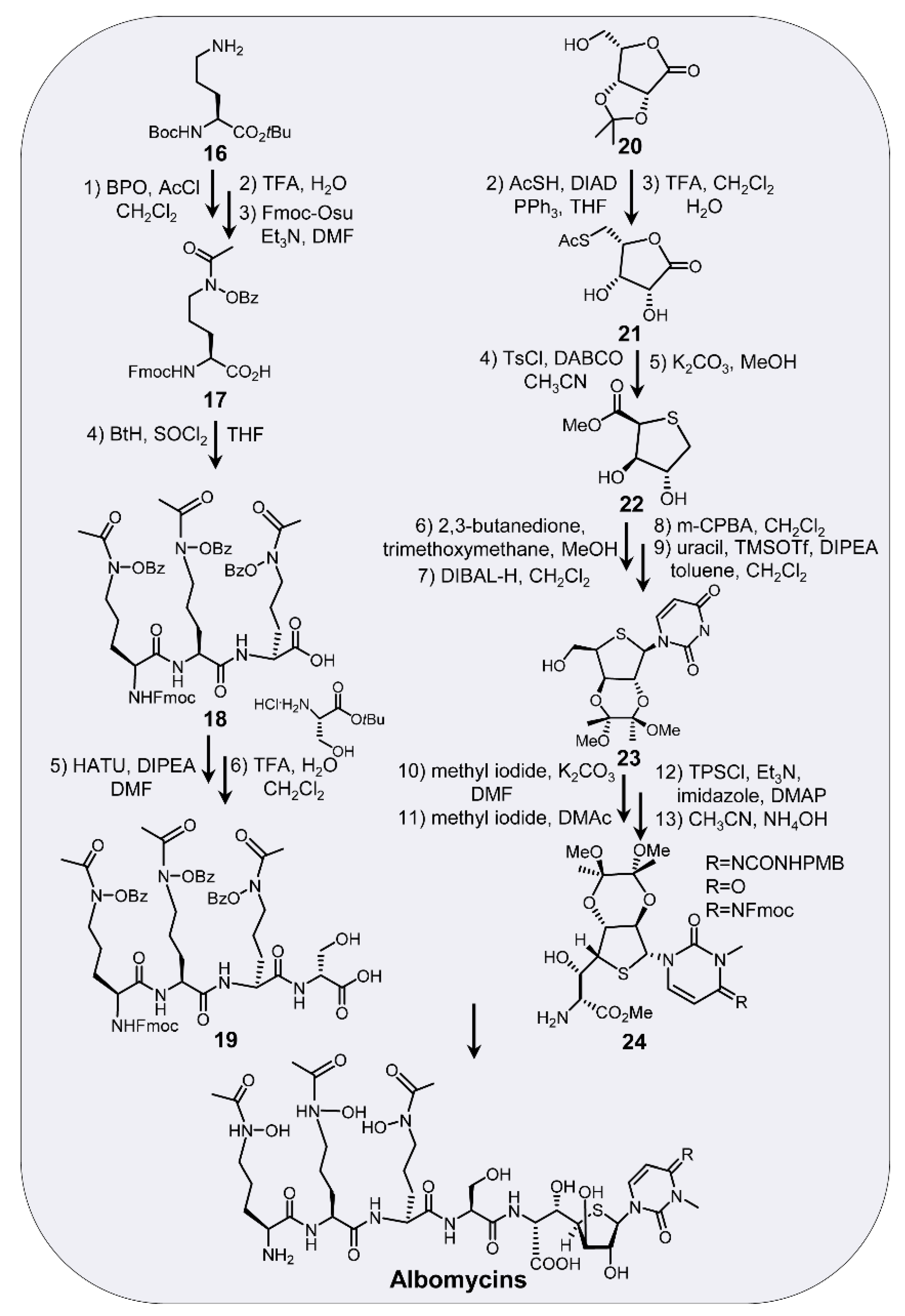 Antibiotics 11 00438 sch002