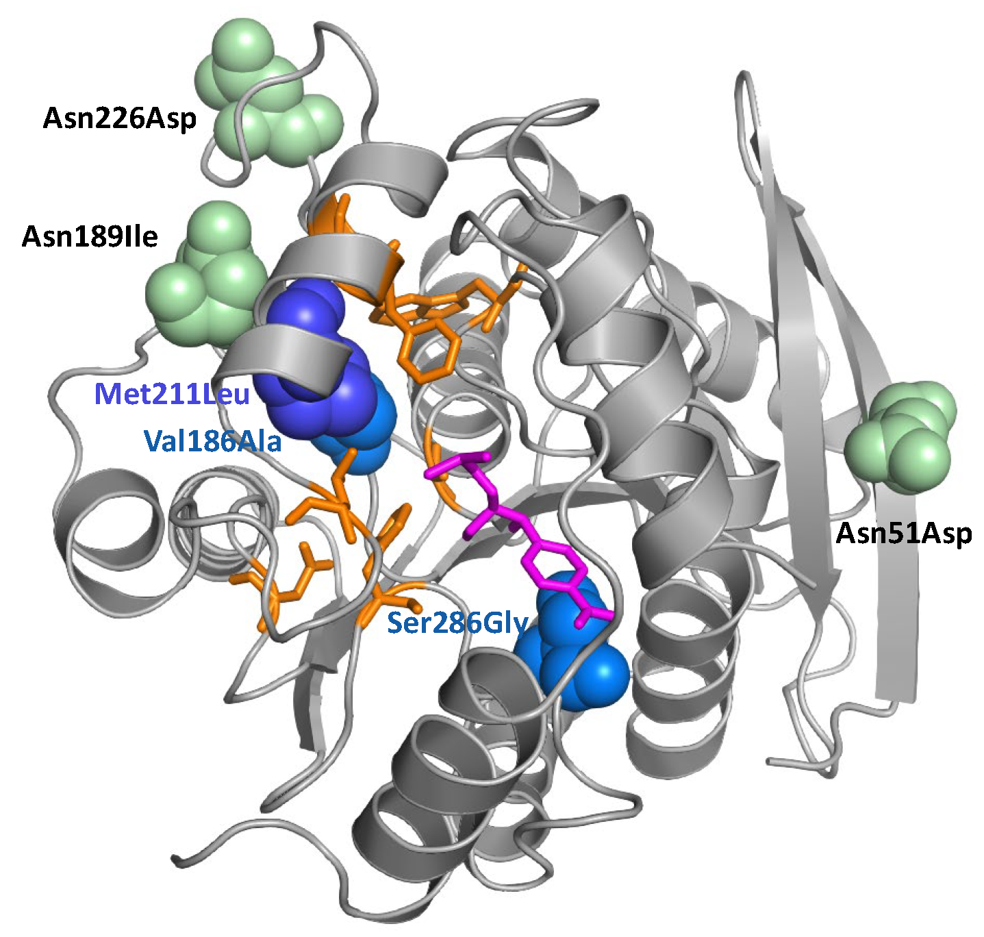 Antibiotics 11 00443 g002