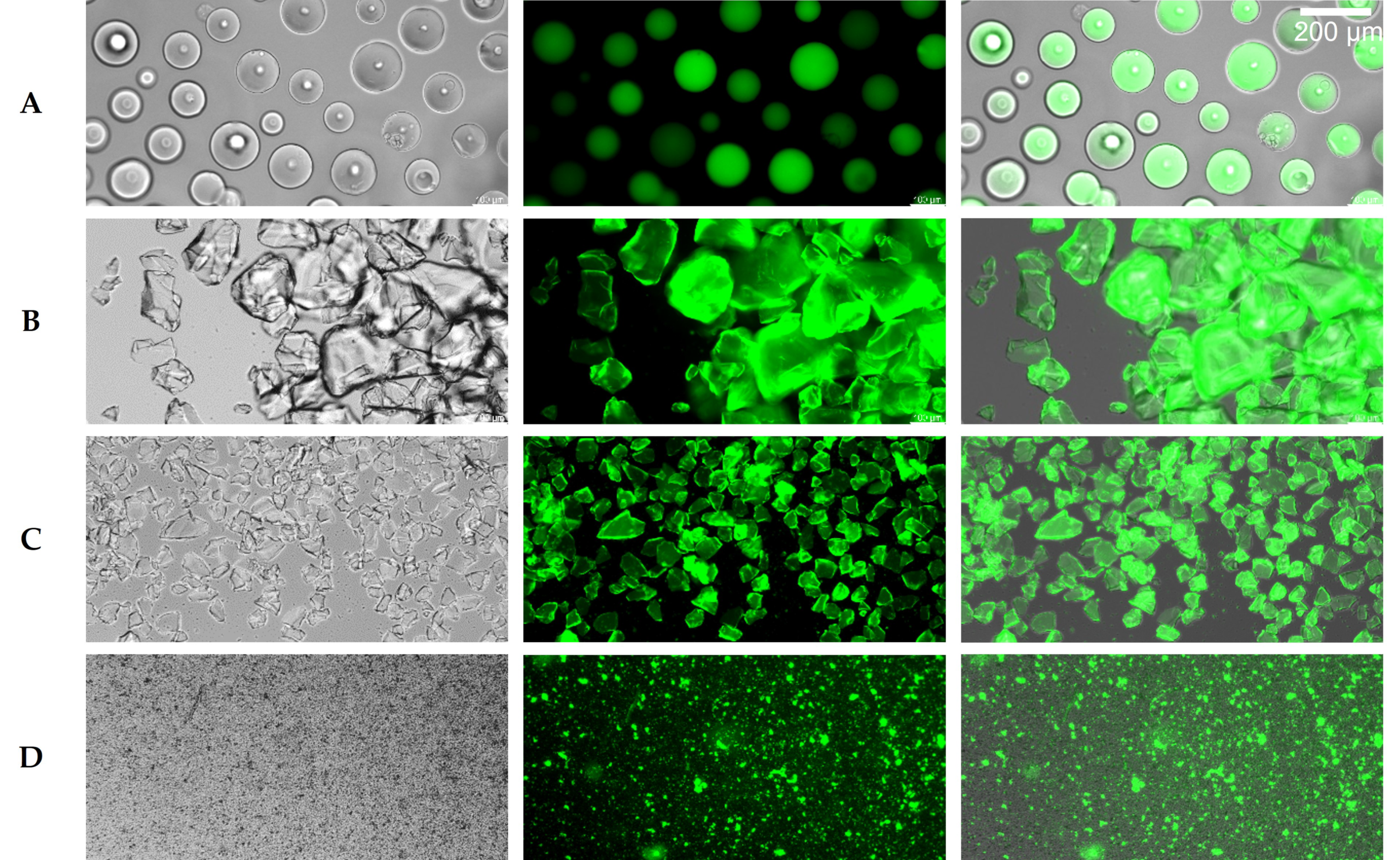 Antibiotics 11 00443 g006