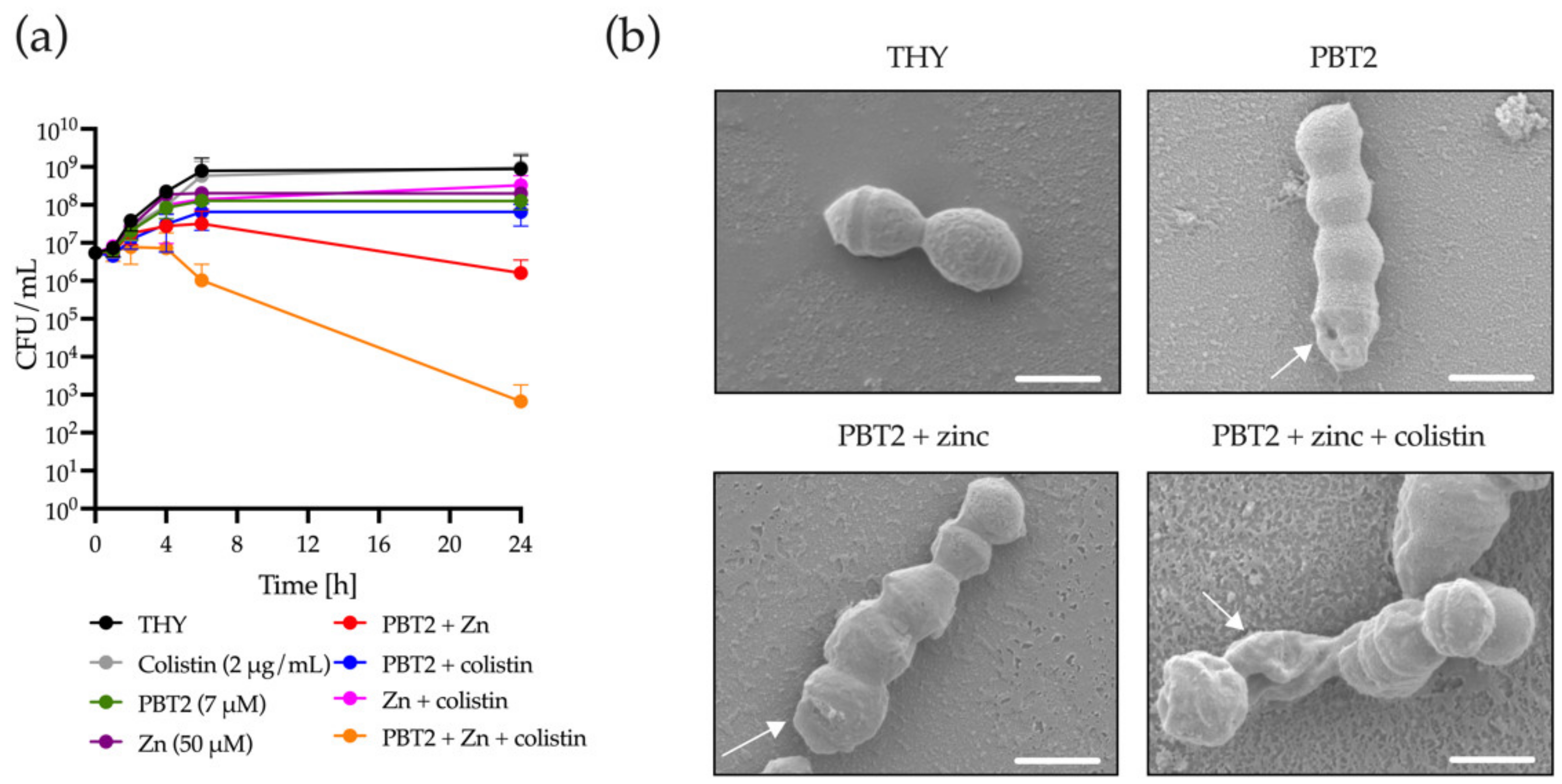 Antibiotics 11 00449 g001
