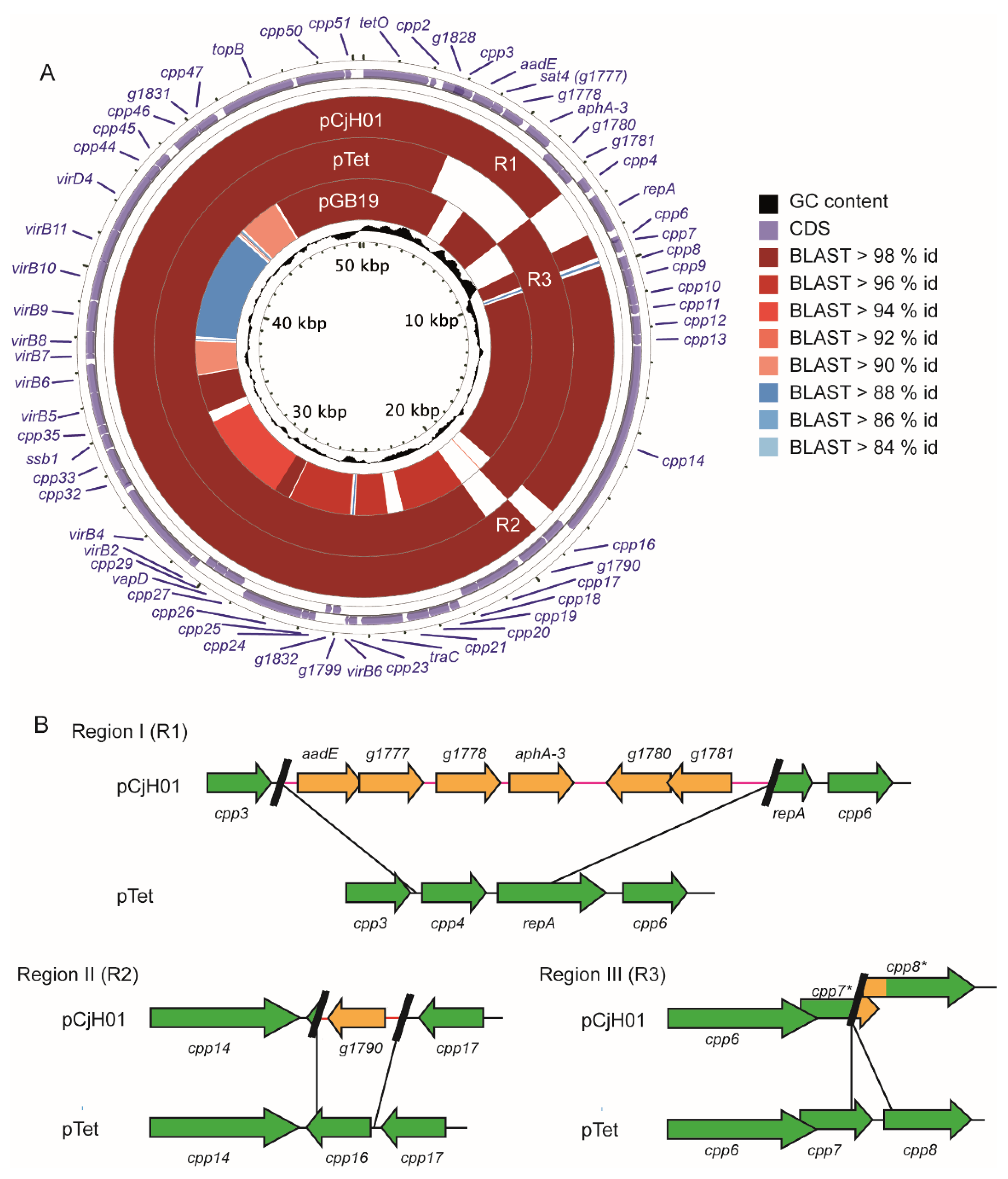 Antibiotics 11 00466 g003