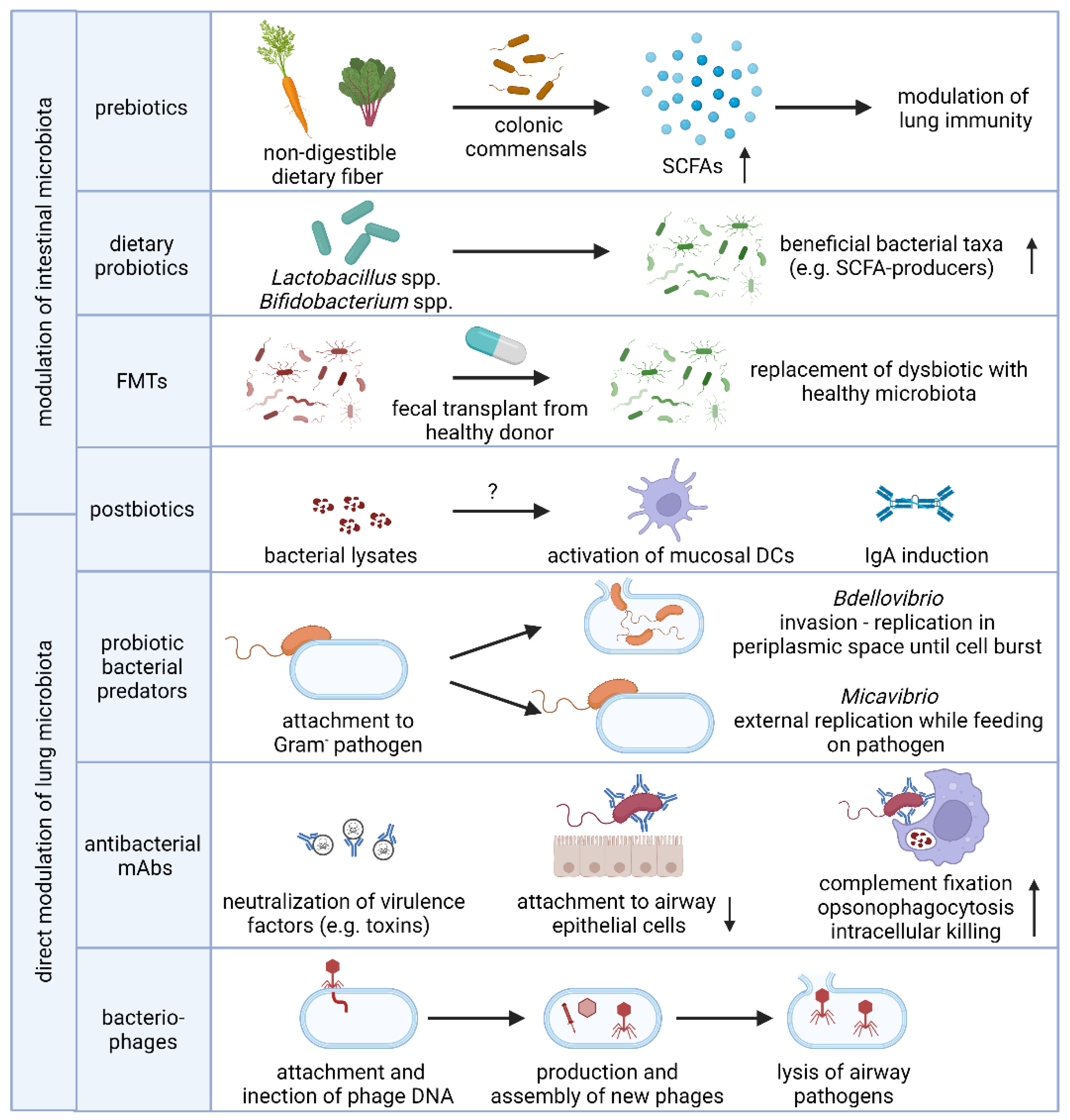 Antibiotics 11 00474 g002