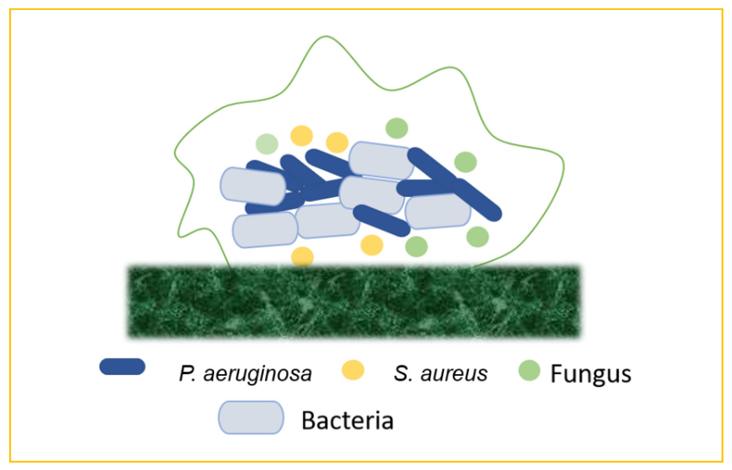 Antibiotics 11 00476 g008