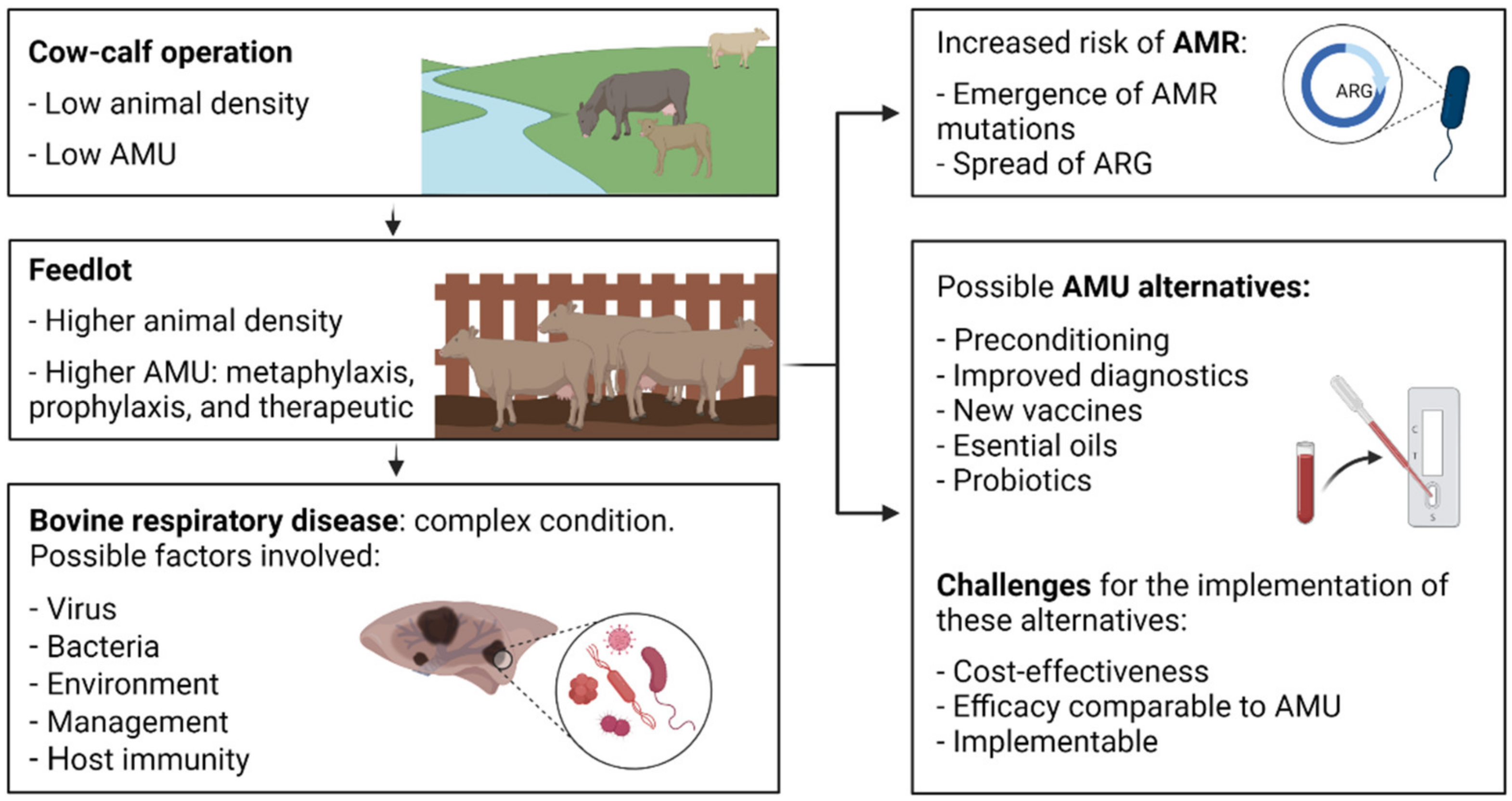Antibiotics 11 00487 g001