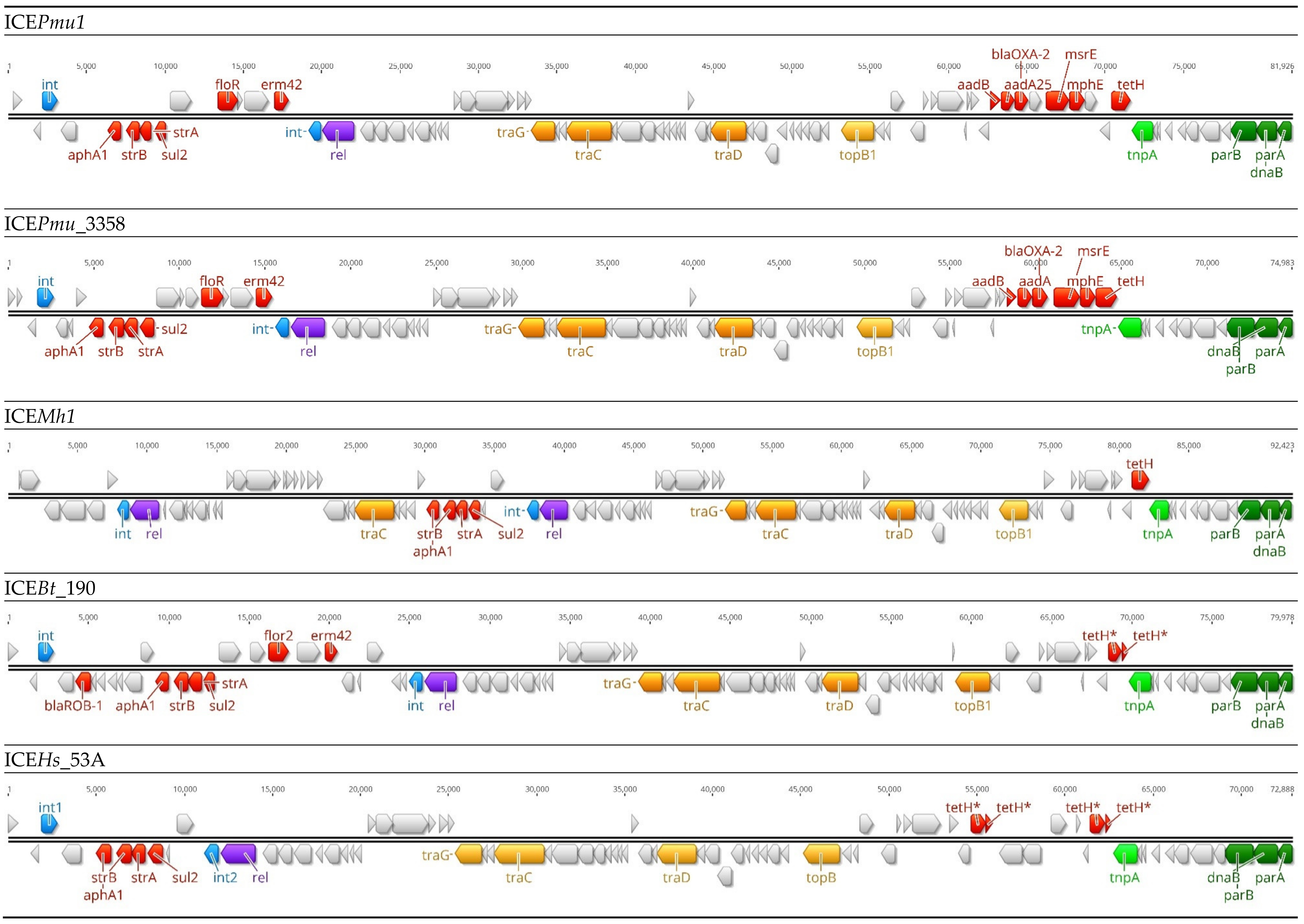 Antibiotics 11 00487 g002a