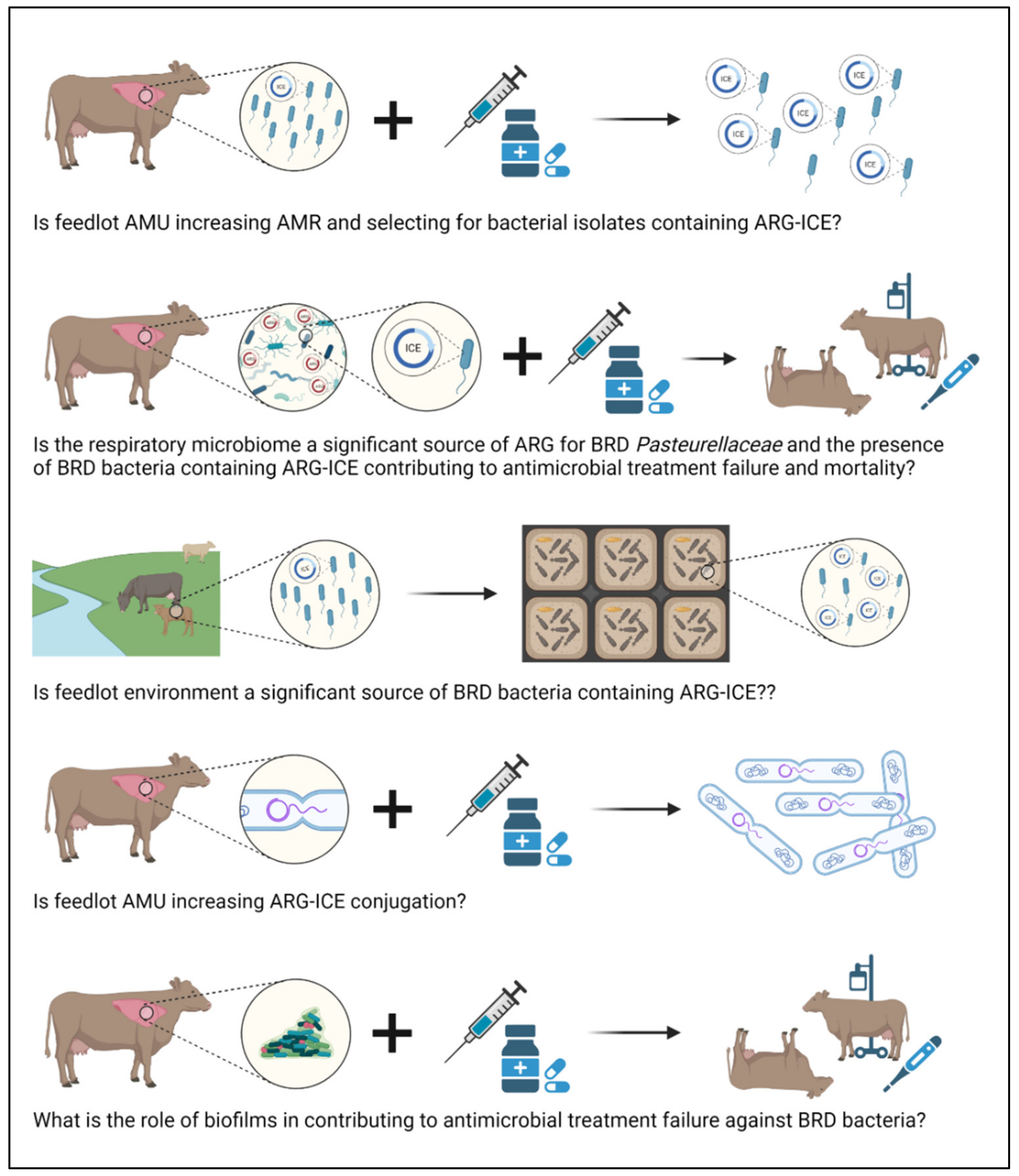 Antibiotics 11 00487 g003