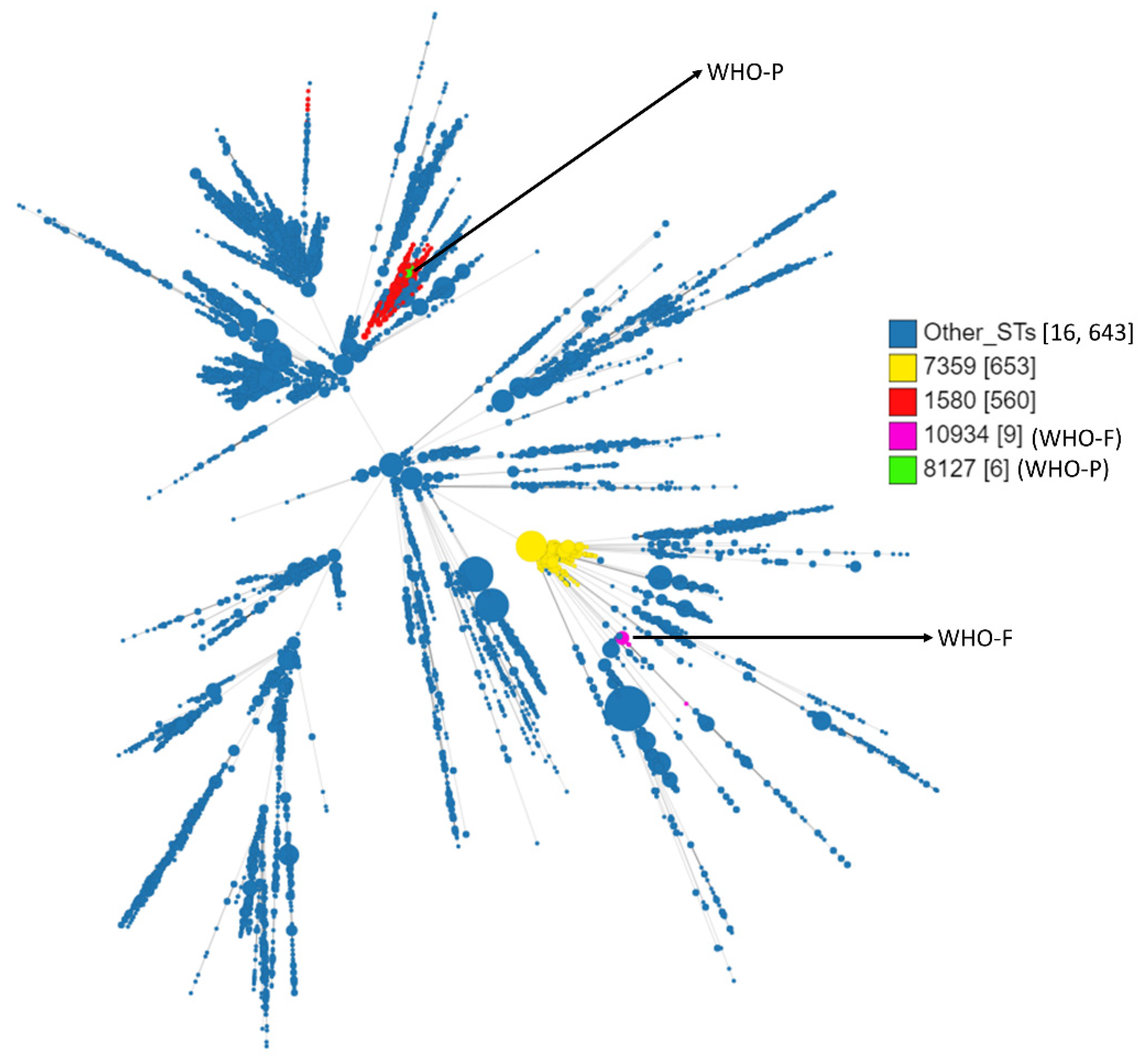 Antibiotics 11 00499 g001
