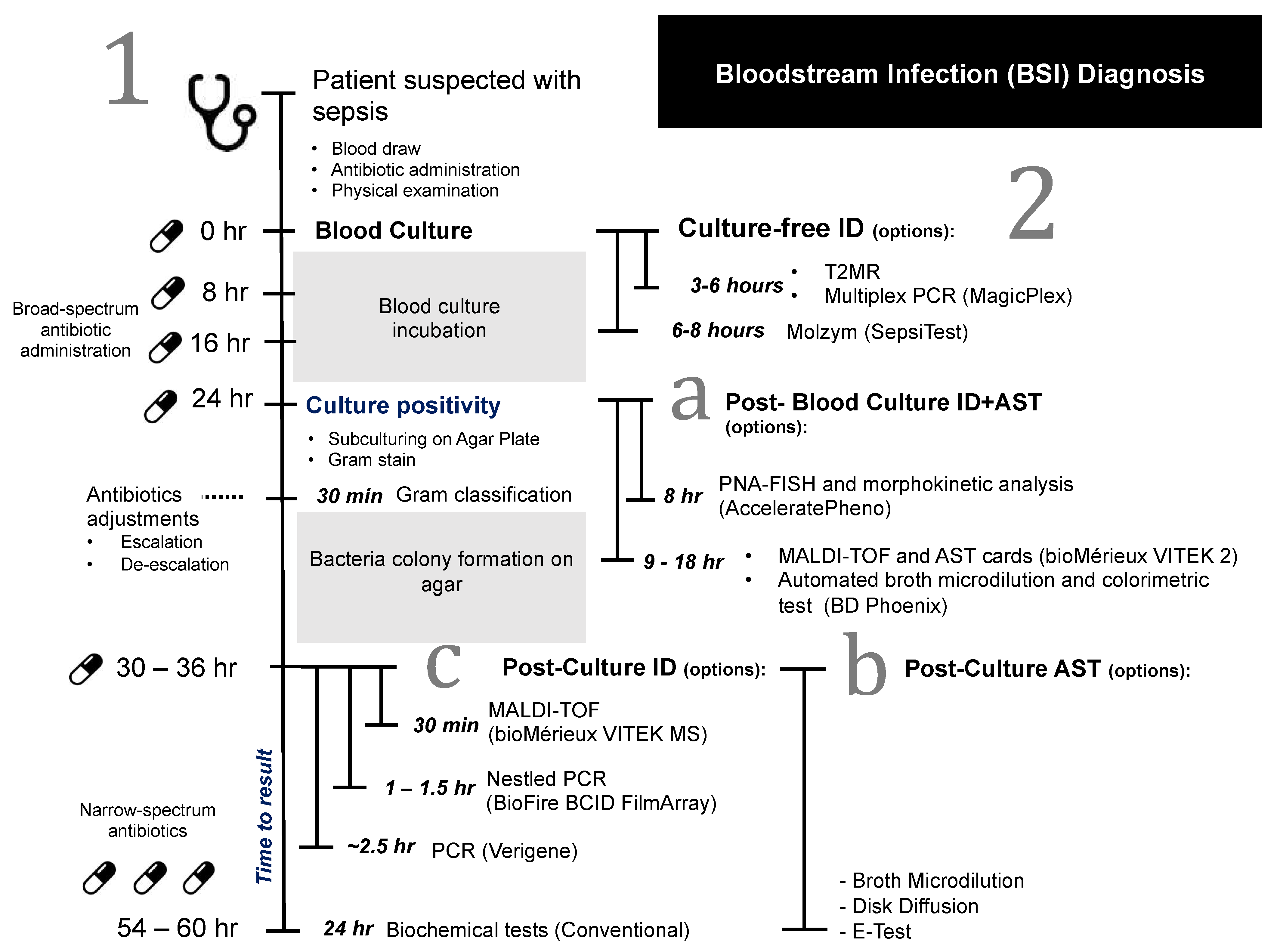 Antibiotics 11 00511 g001