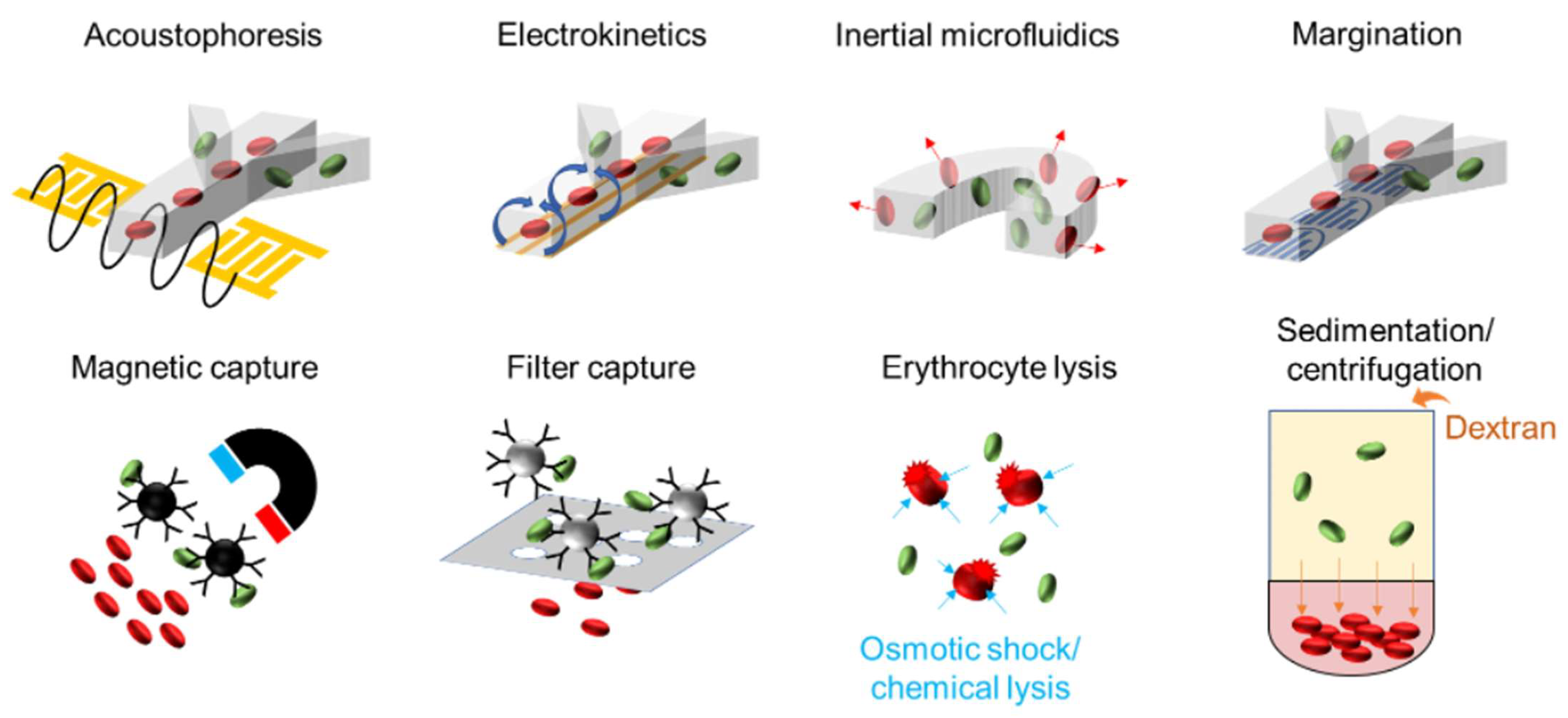 Antibiotics 11 00511 g002
