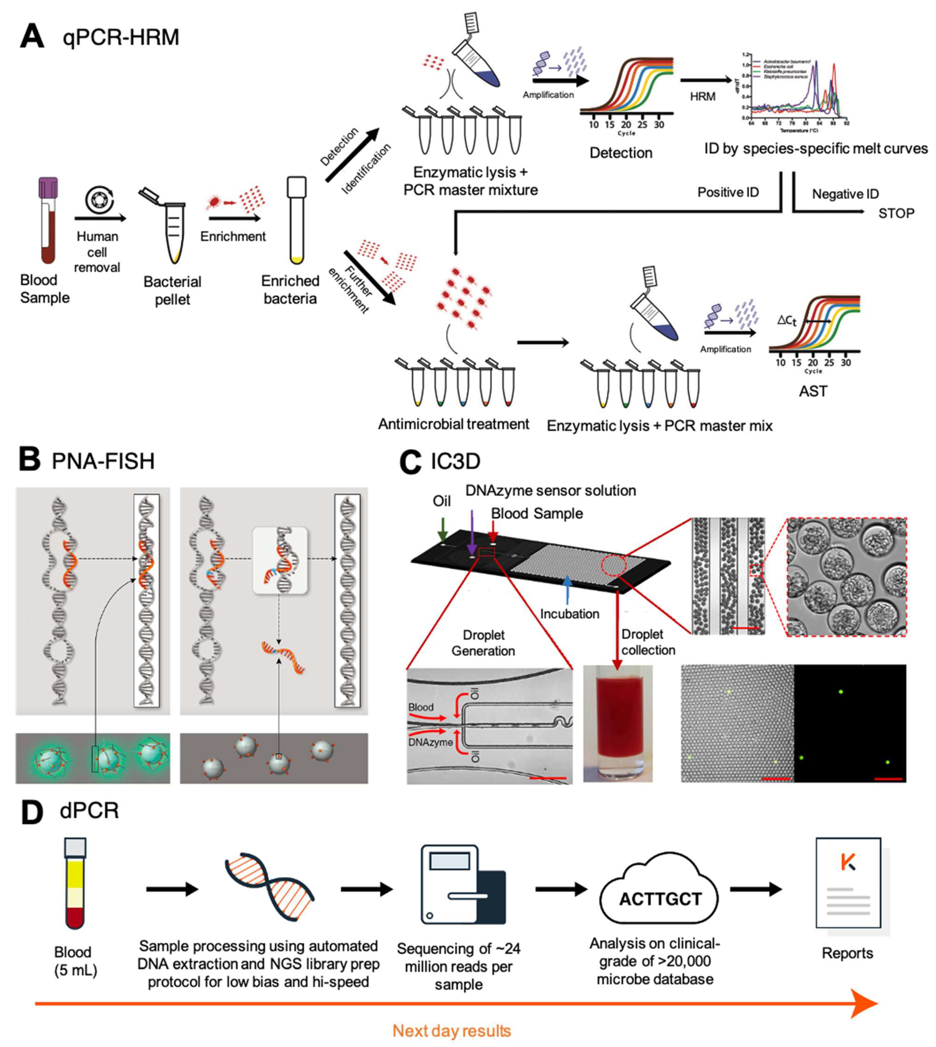 Antibiotics 11 00511 g003