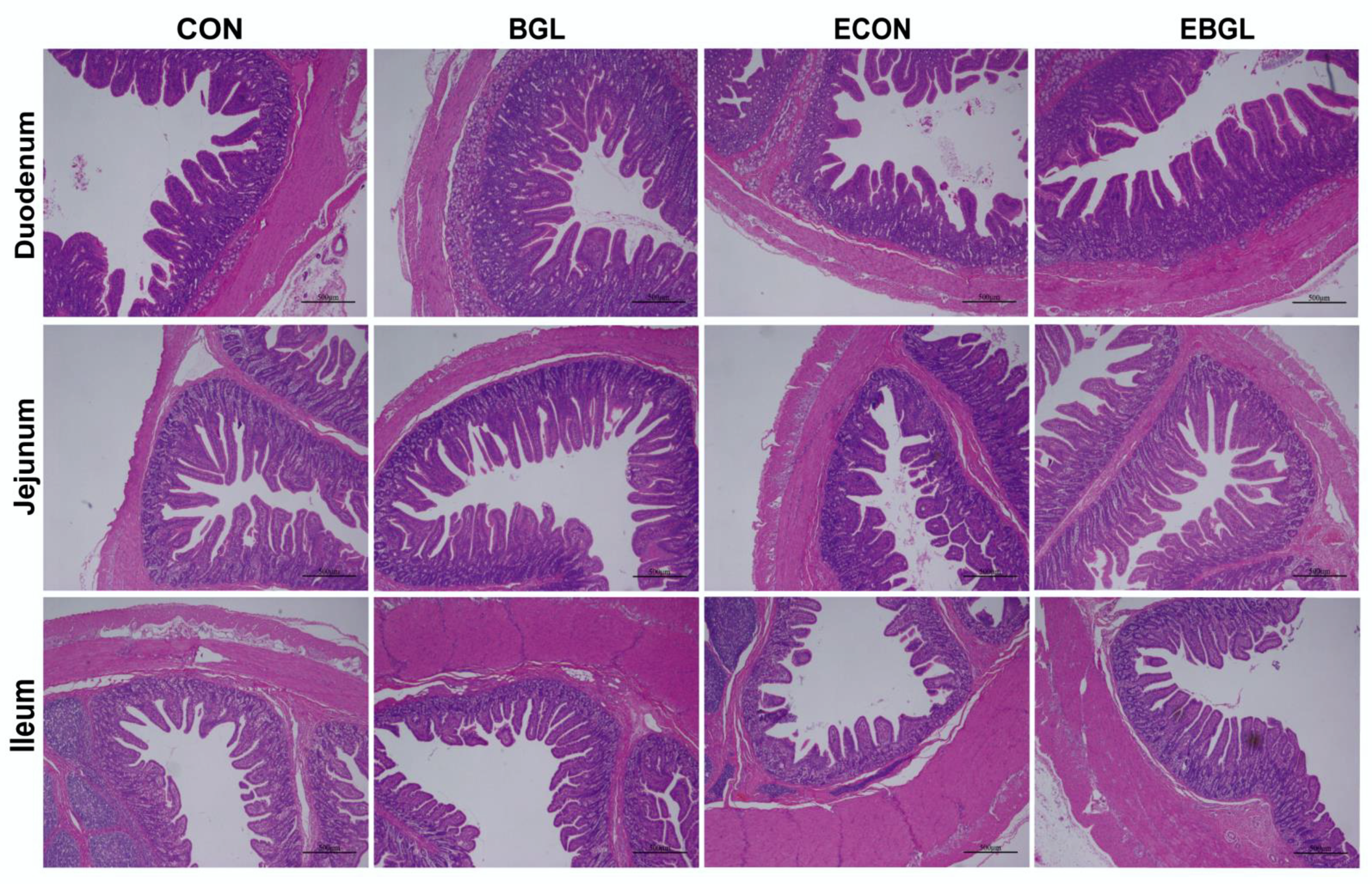 Antibiotics 11 00519 g002