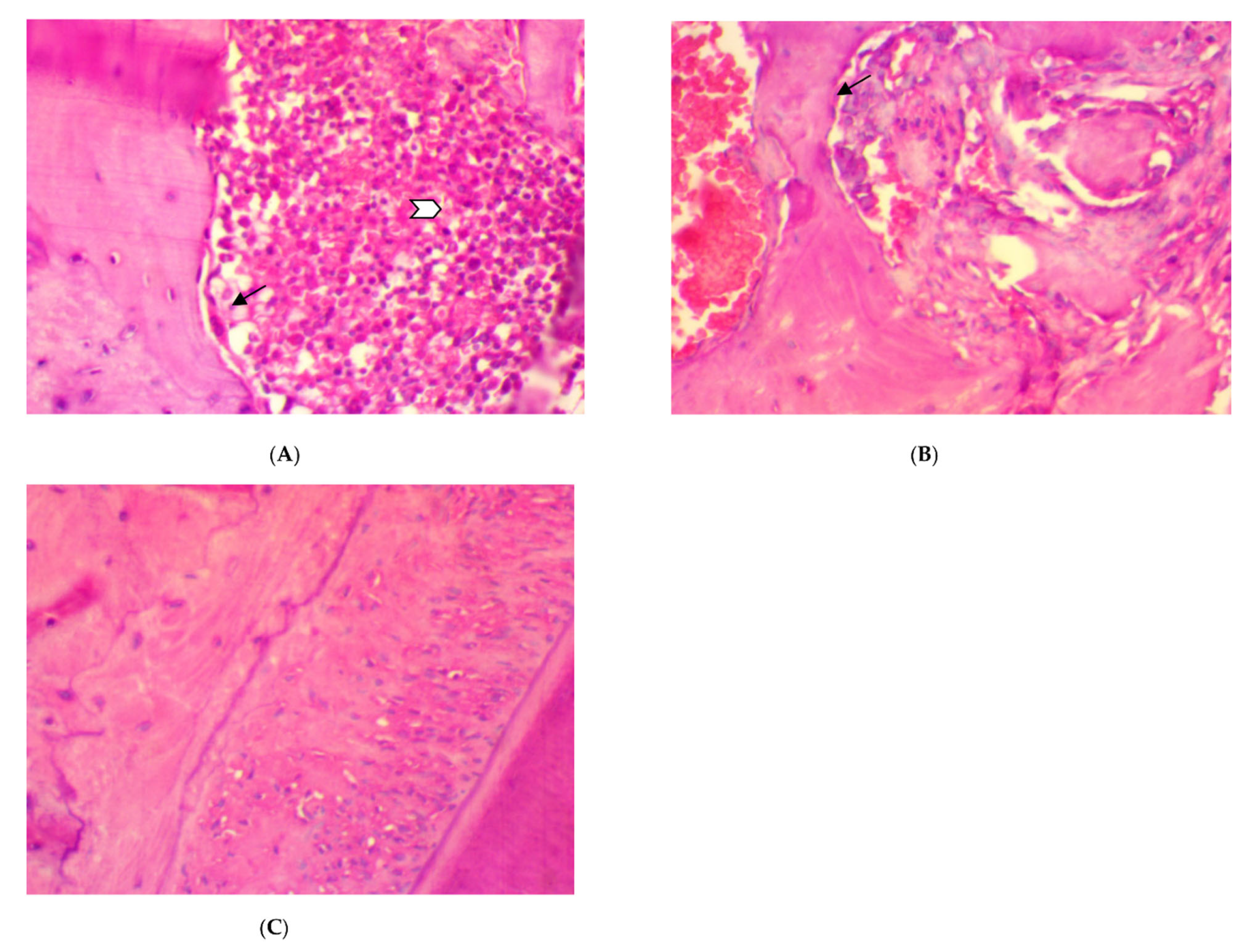 Antibiotics 11 00521 g001