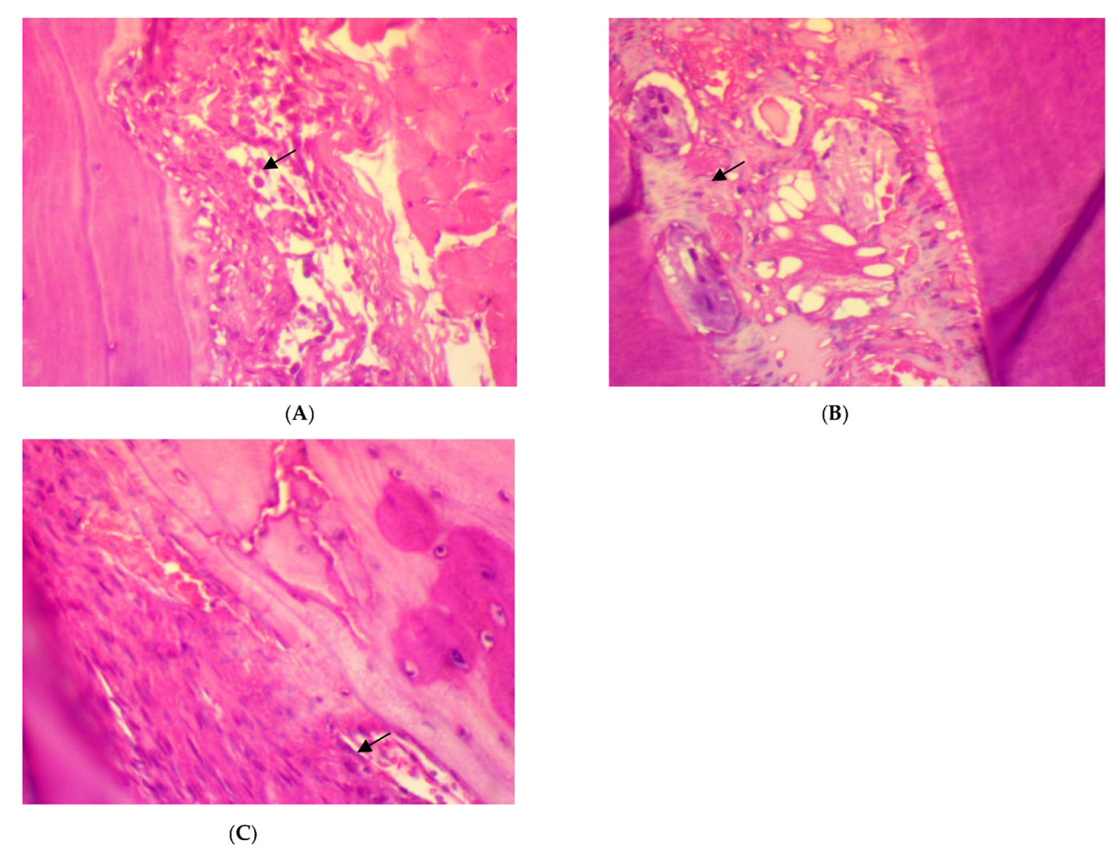 Antibiotics 11 00521 g002