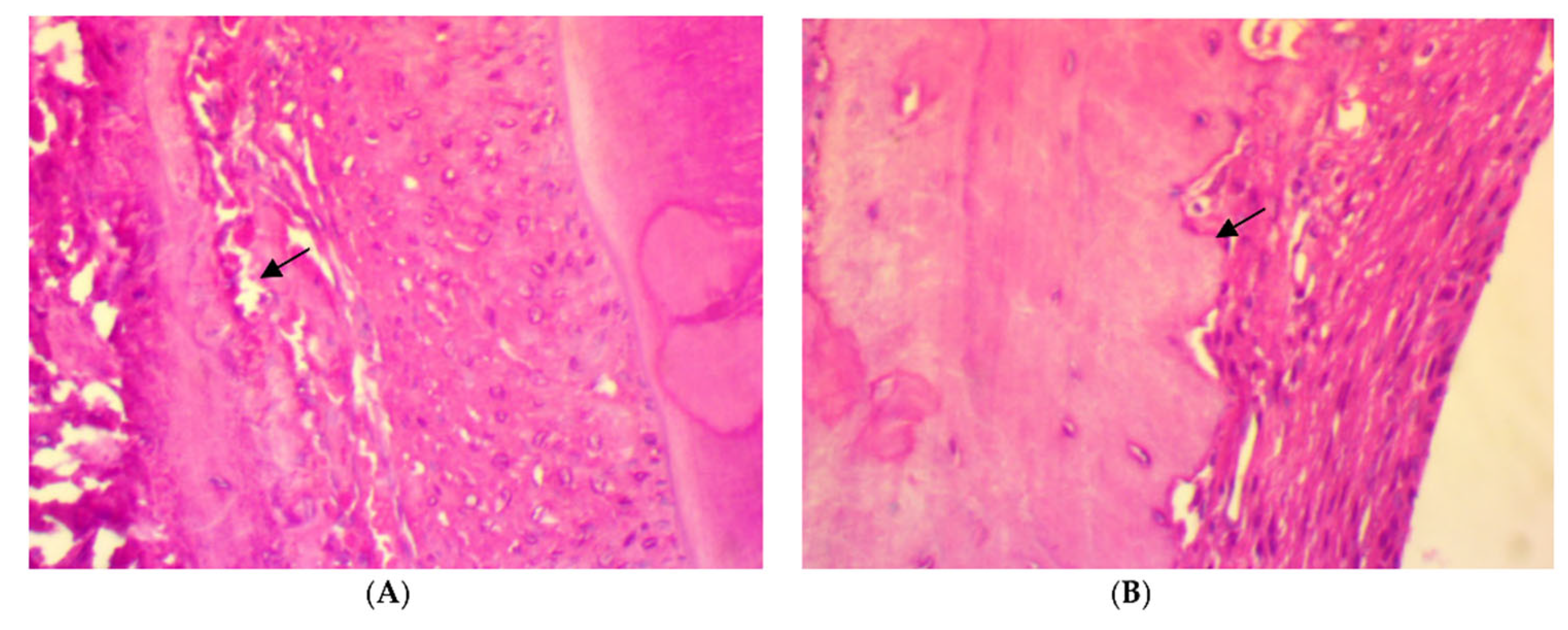 Antibiotics 11 00521 g003a
