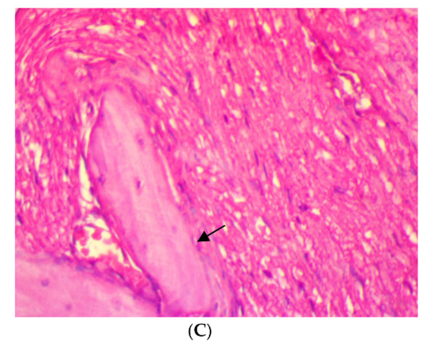 Antibiotics 11 00521 g003b
