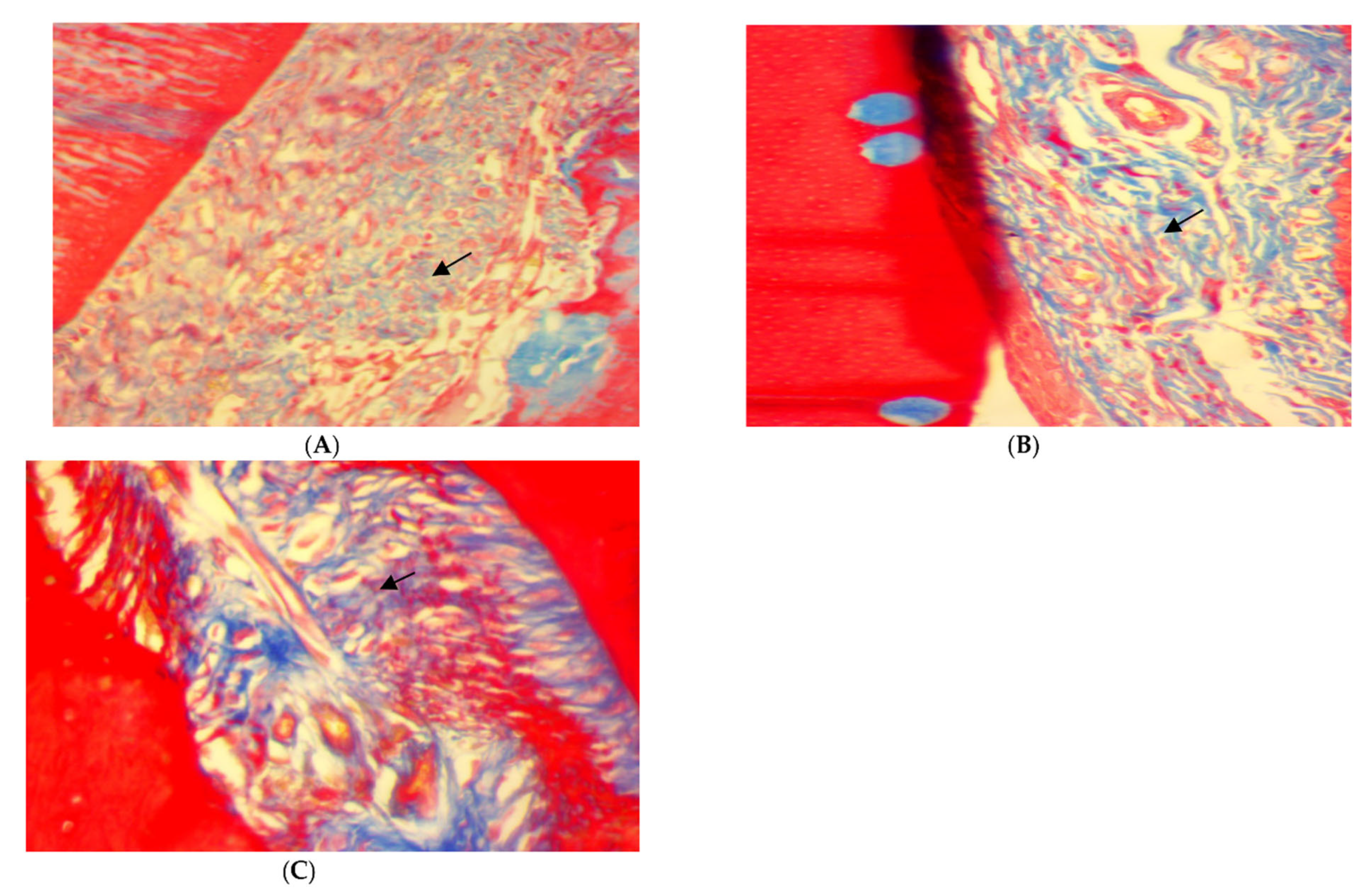 Antibiotics 11 00521 g005