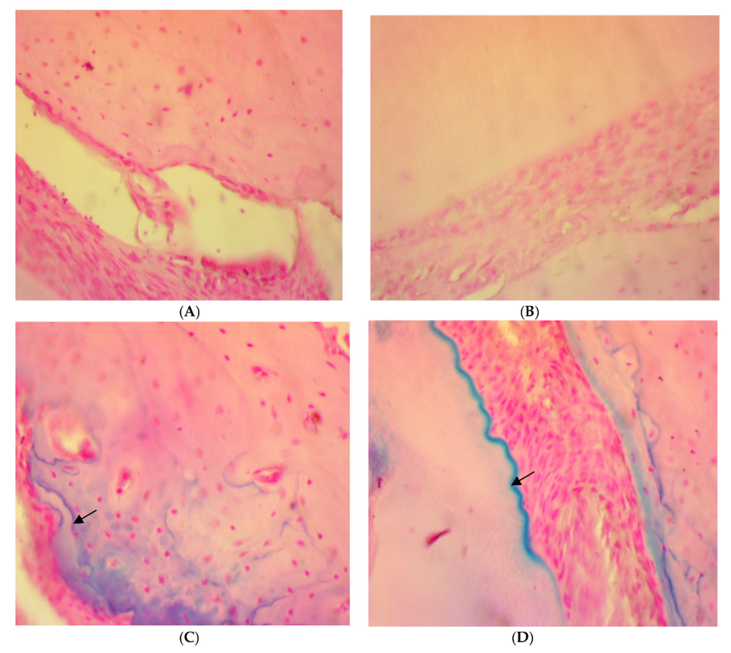 Antibiotics 11 00521 g006