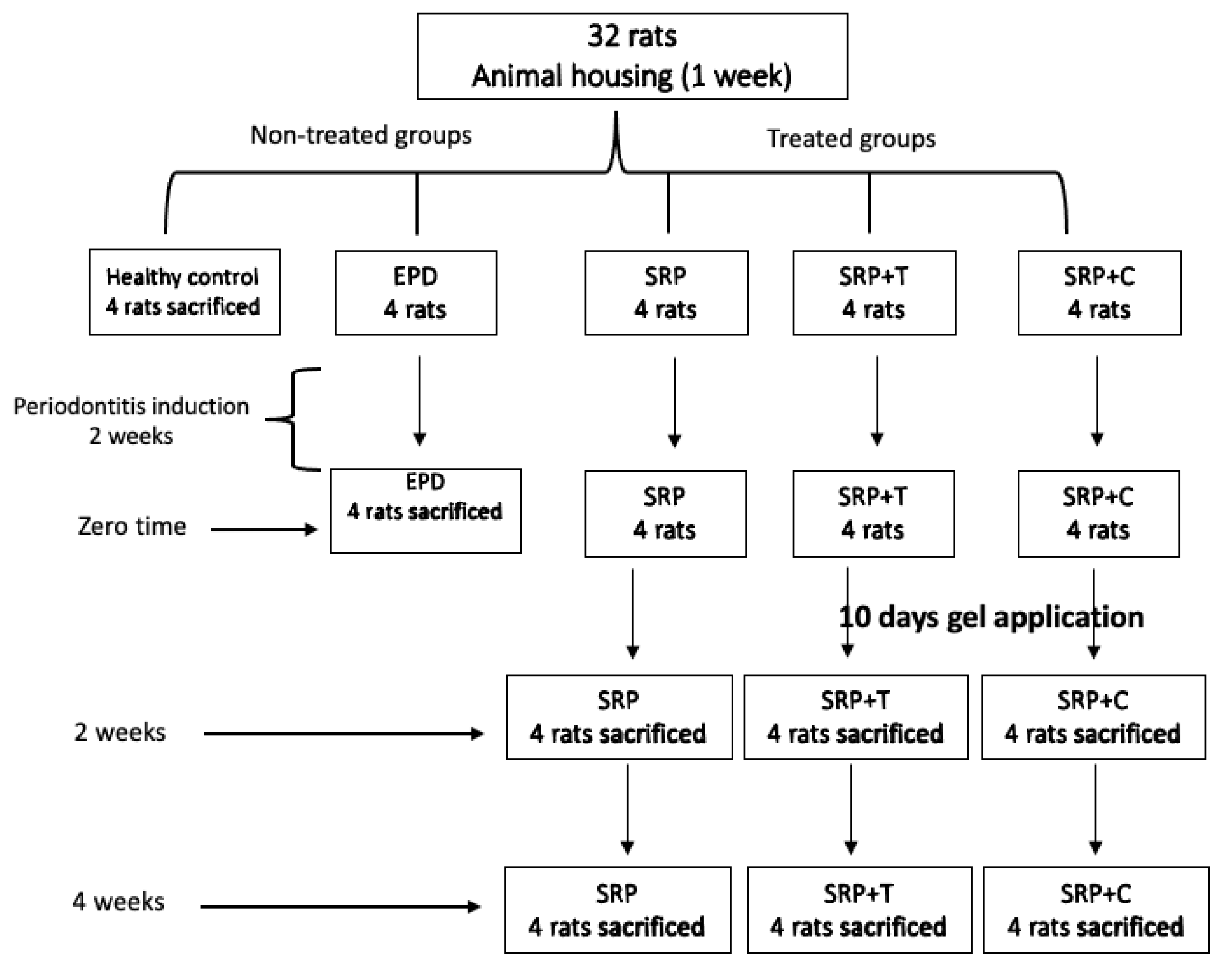 Antibiotics 11 00521 g007