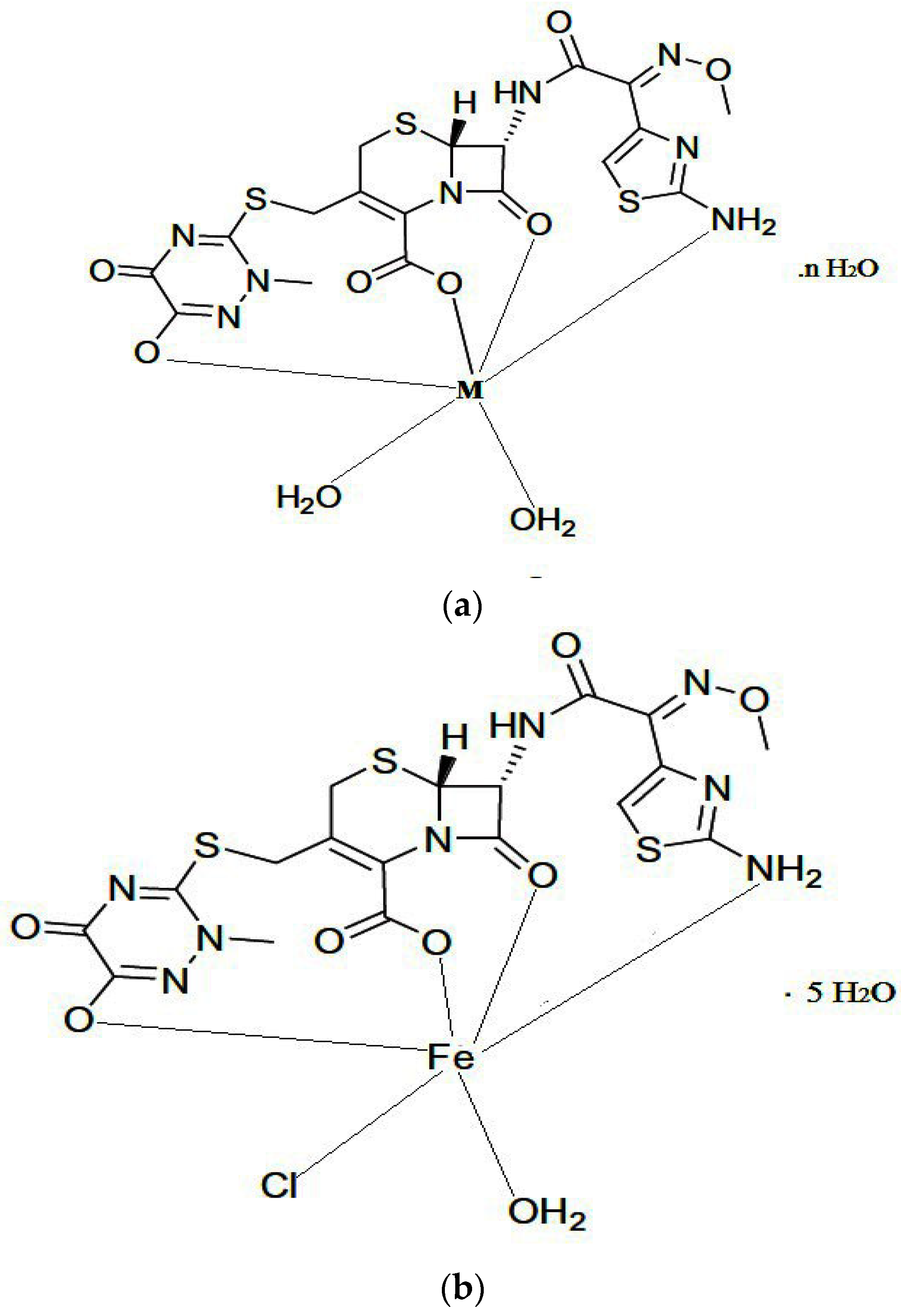 Antibiotics 11 00547 g004a