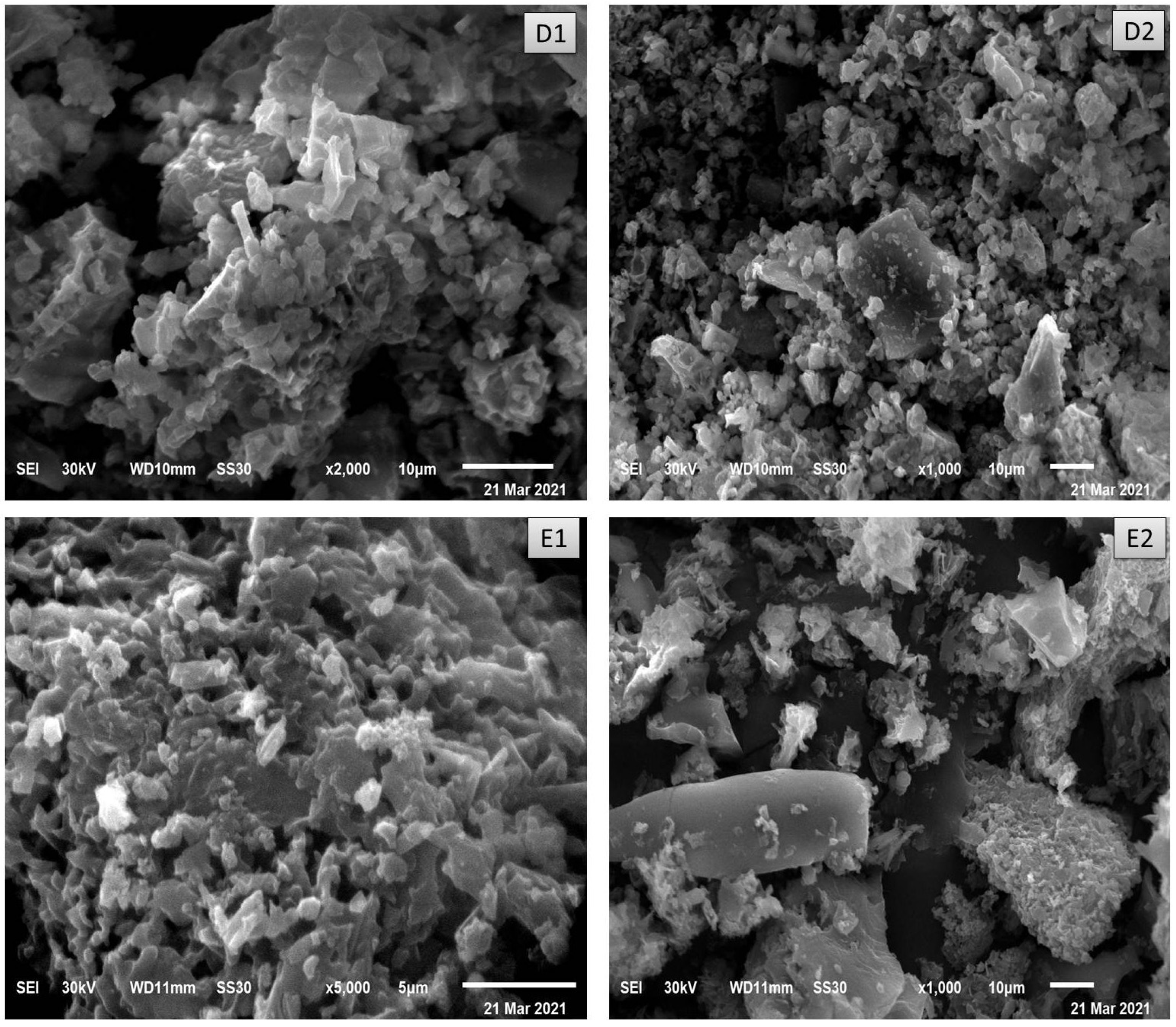 Antibiotics 11 00547 g006b