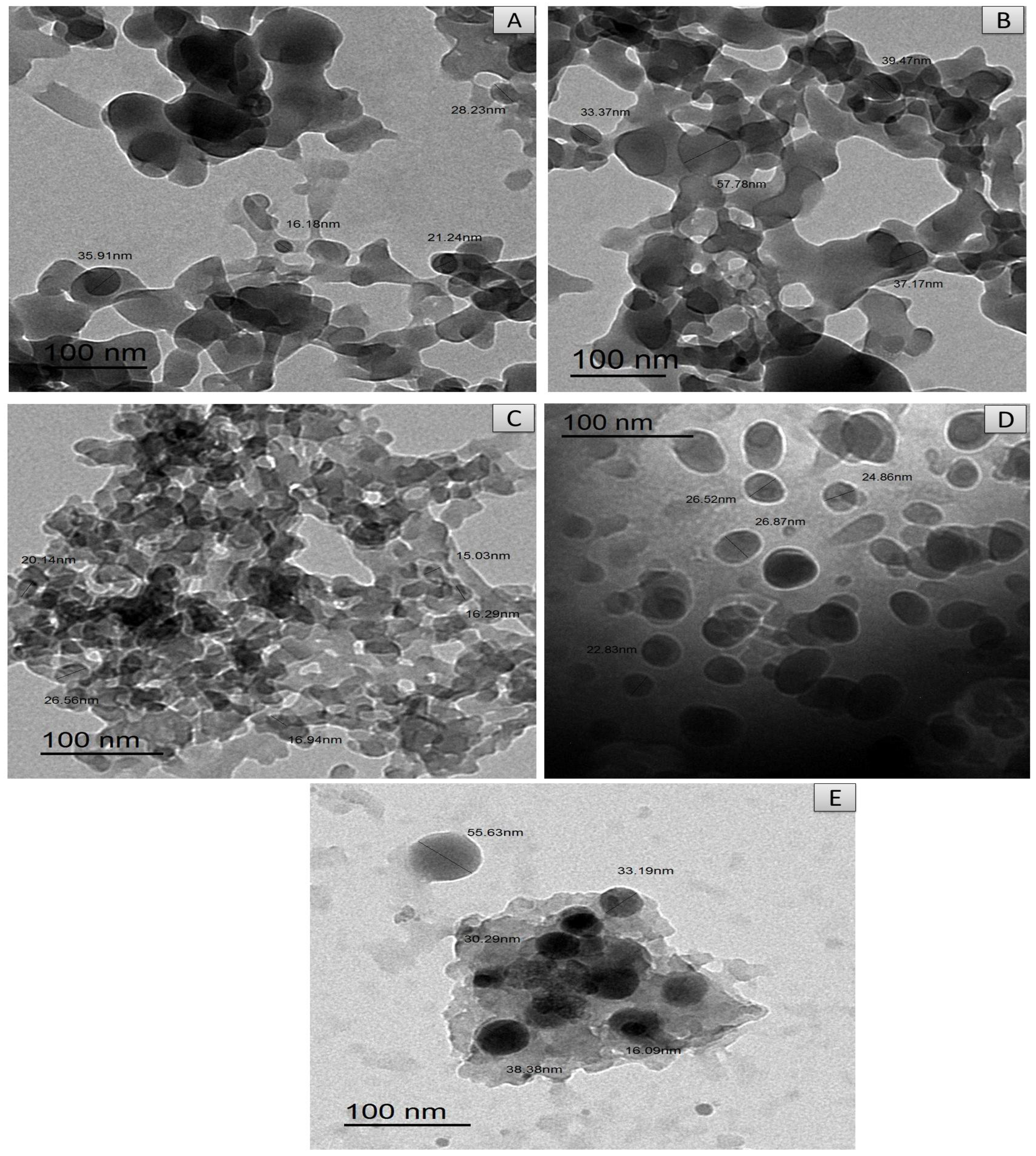 Antibiotics 11 00547 g007