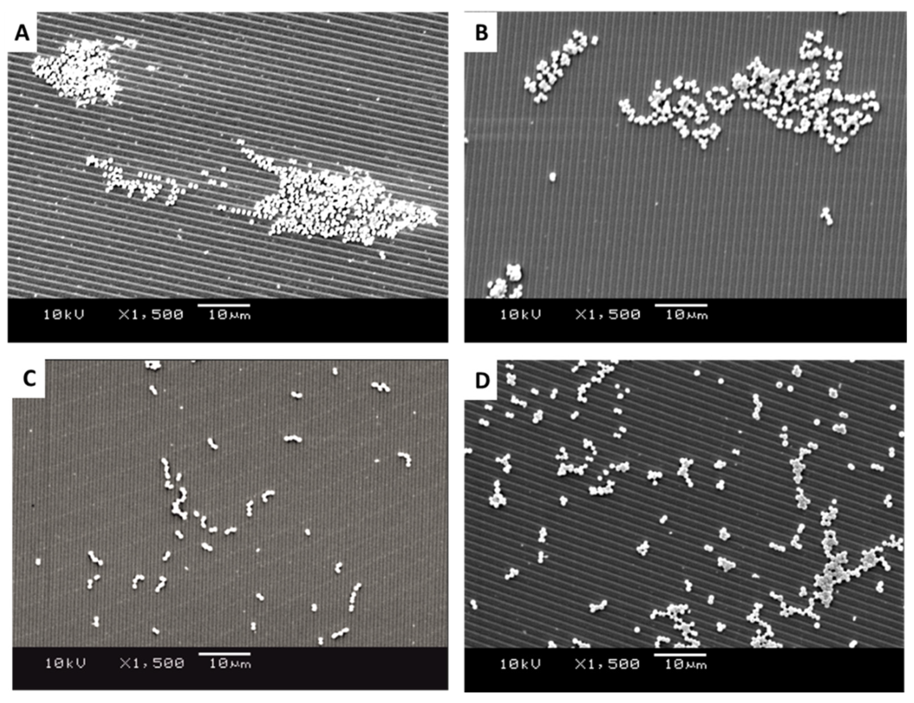 Antibiotics 11 00551 g005