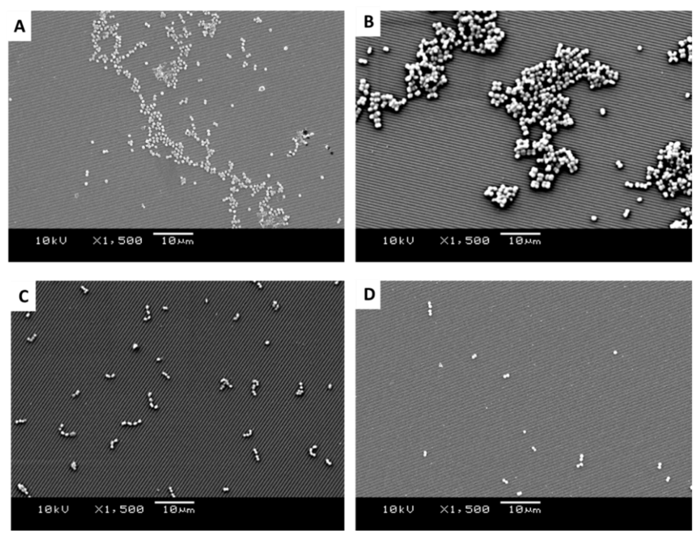 Antibiotics 11 00551 g006